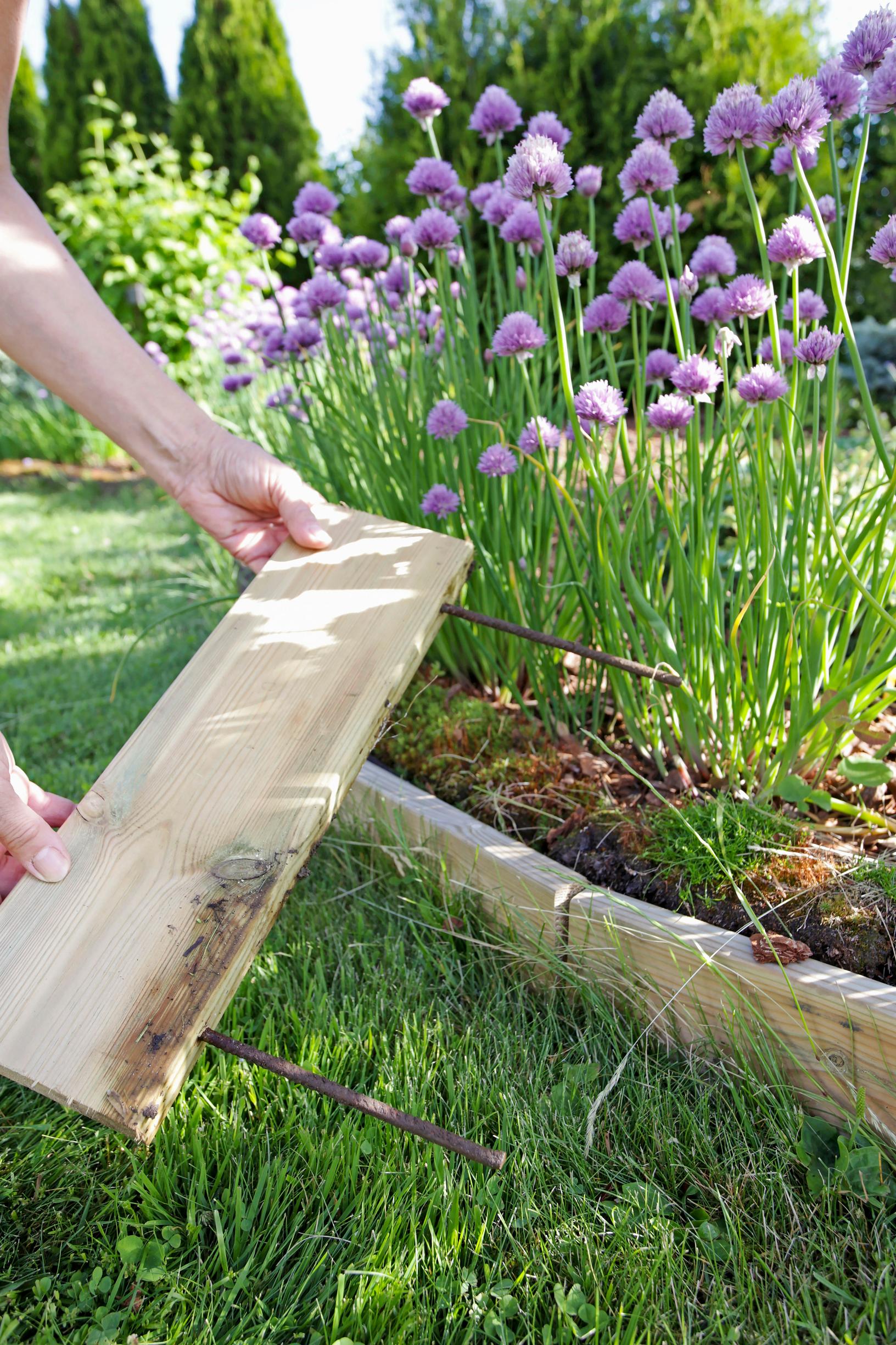 Kuva A-lehtien kuva-arkisto, 100 ideaa puutarhaan 2026