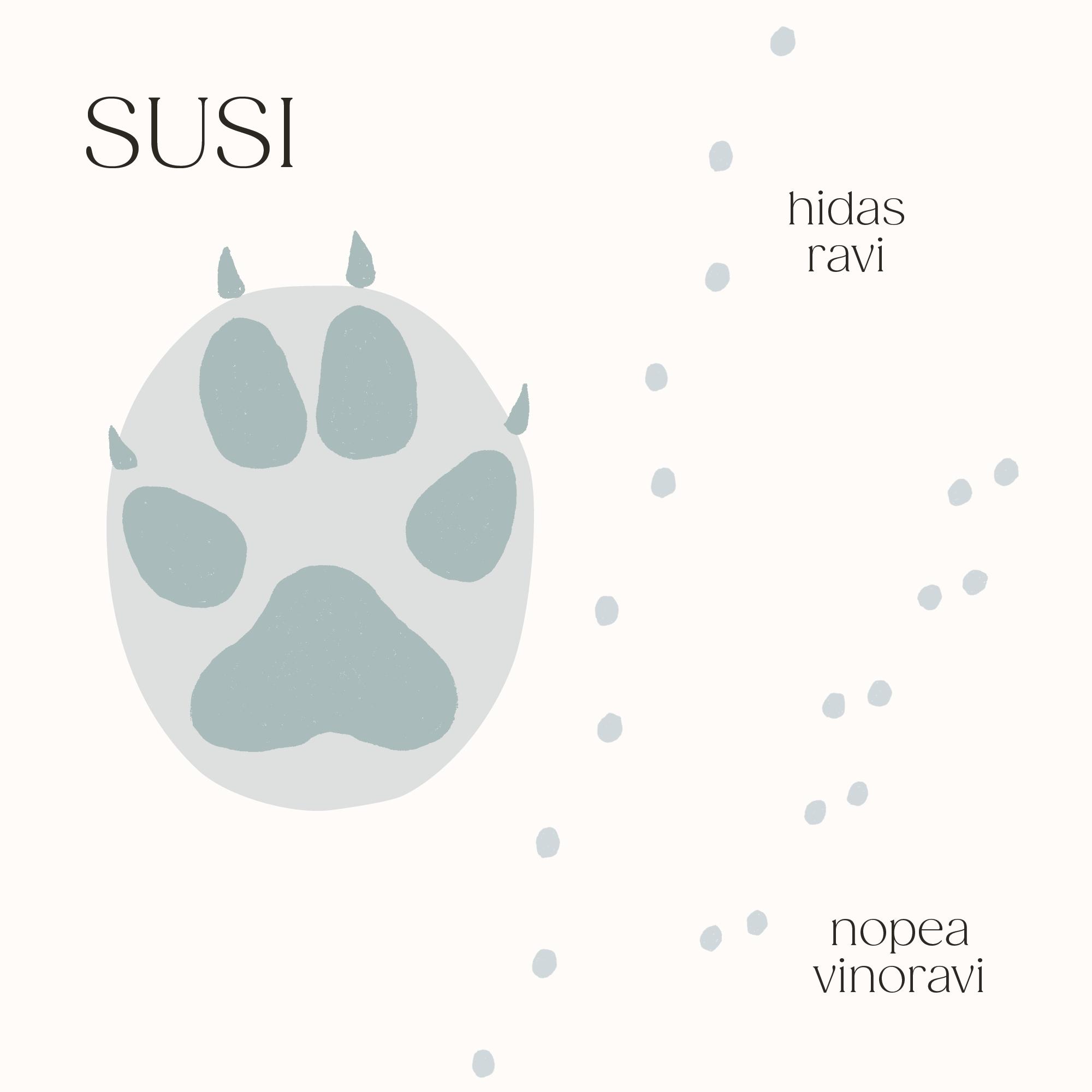 Suden jälki lumessa