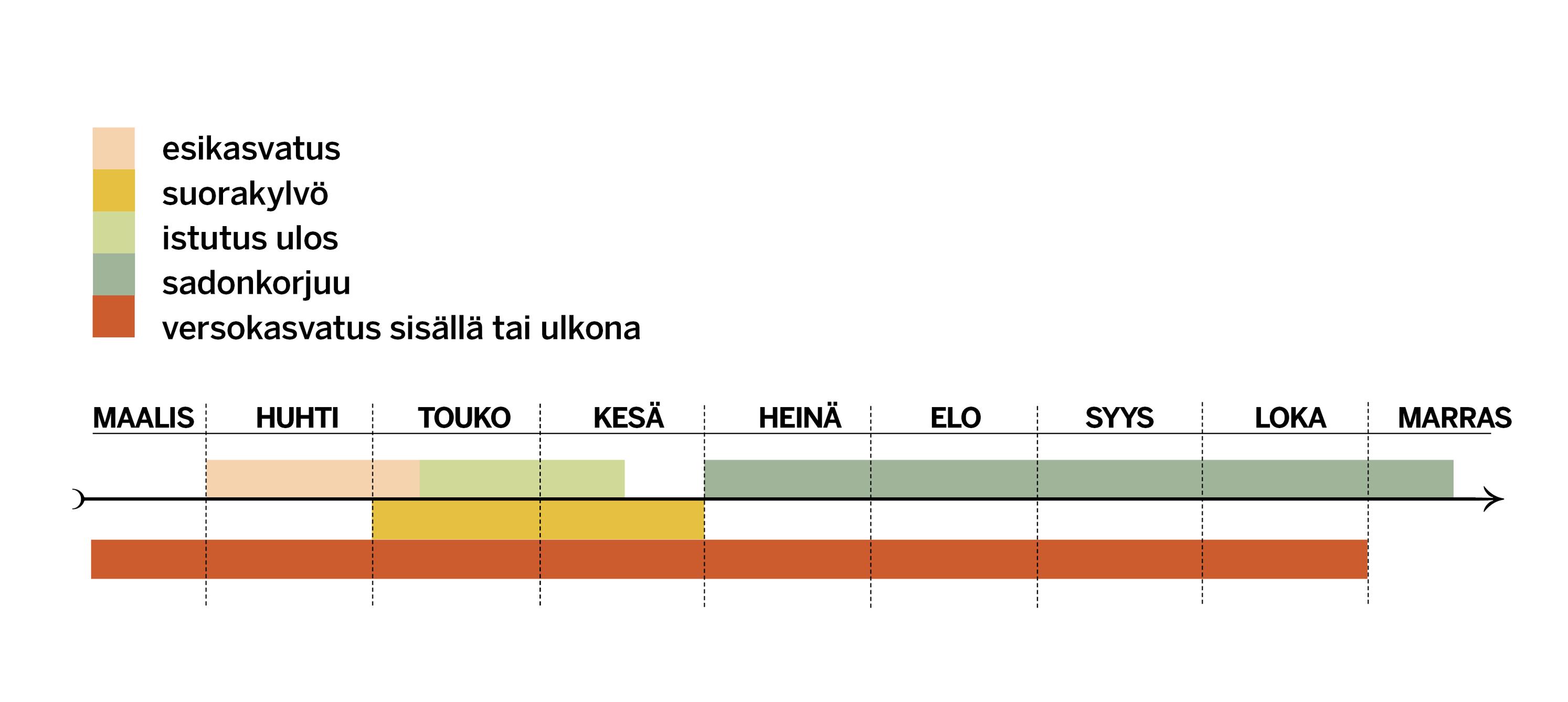 Lehtikaalin esikasvatus-, kylvö- ja istutusajat