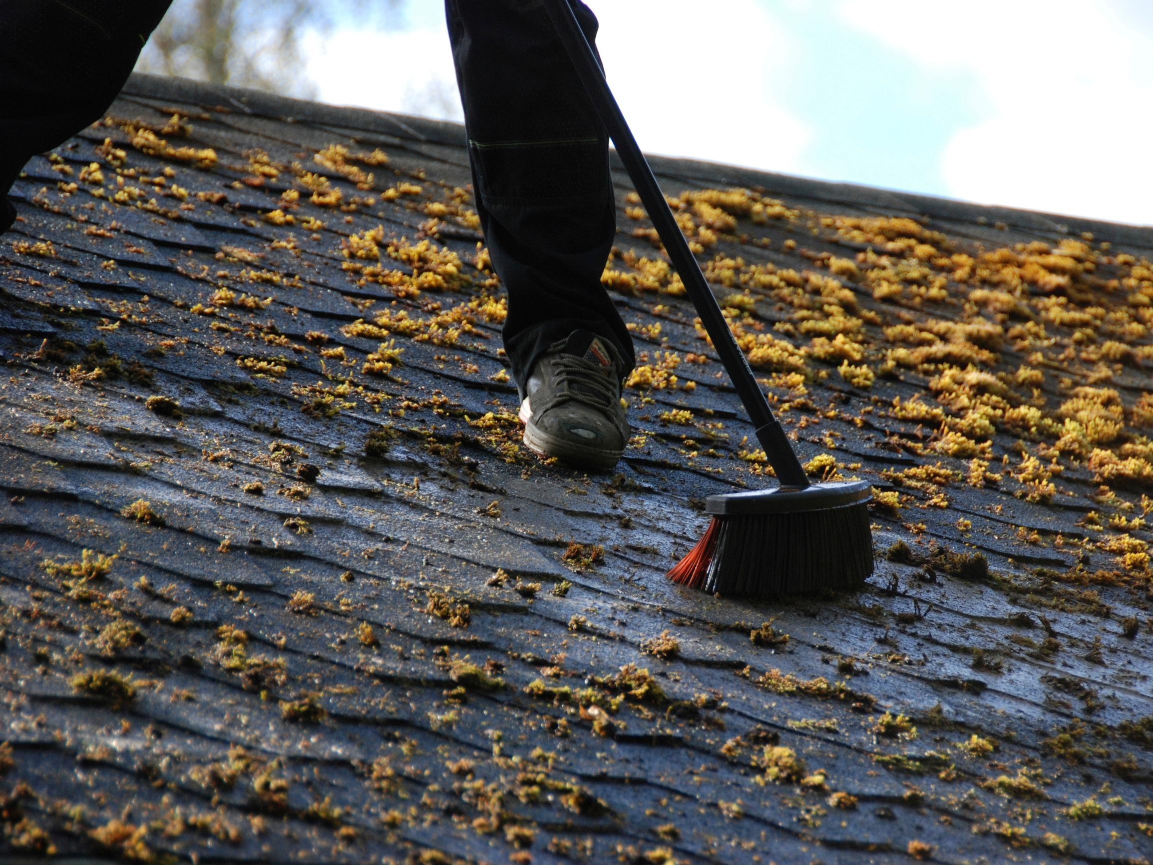 Älä tee tätä virhettä ennen talvea! Yleinen unohdus voi jäädyttää putket ja jopa aiheuttaa kosteusvaurioita mökissä