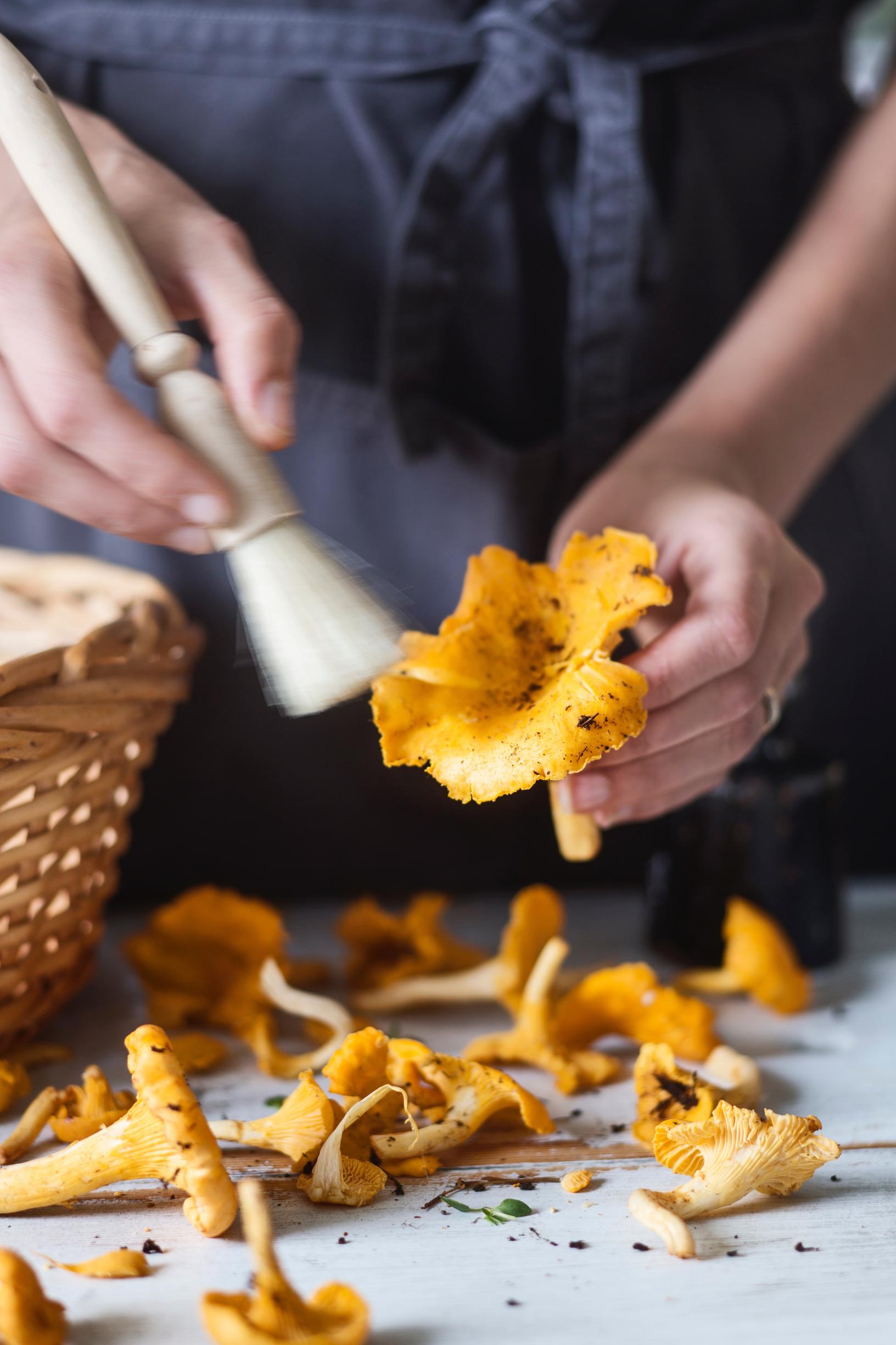 Sienestys: parhaat vinkit sienimetsään lähtevälle | Maku