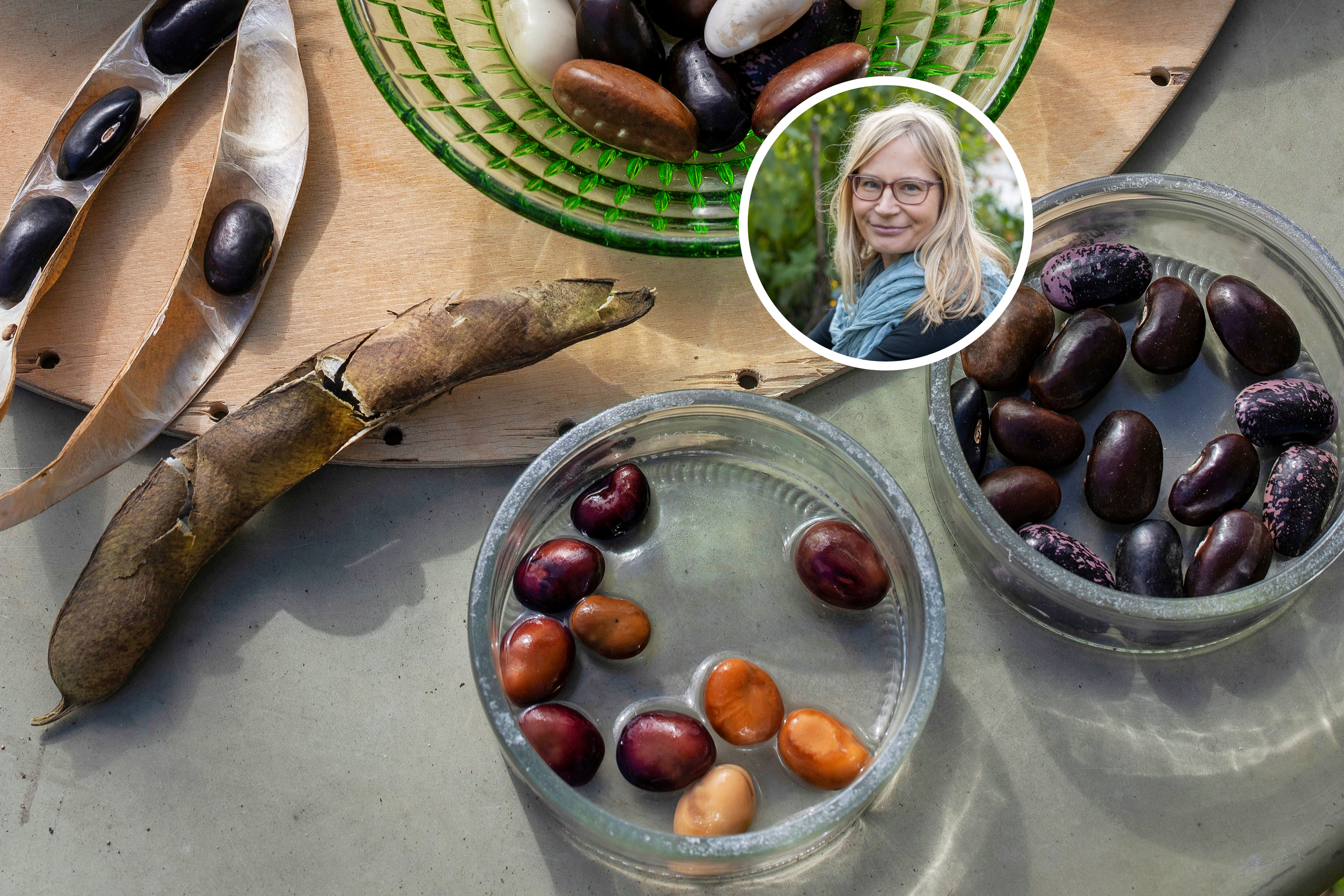 Siementen liotus – ammattilaisen vinkit | Viherpiha