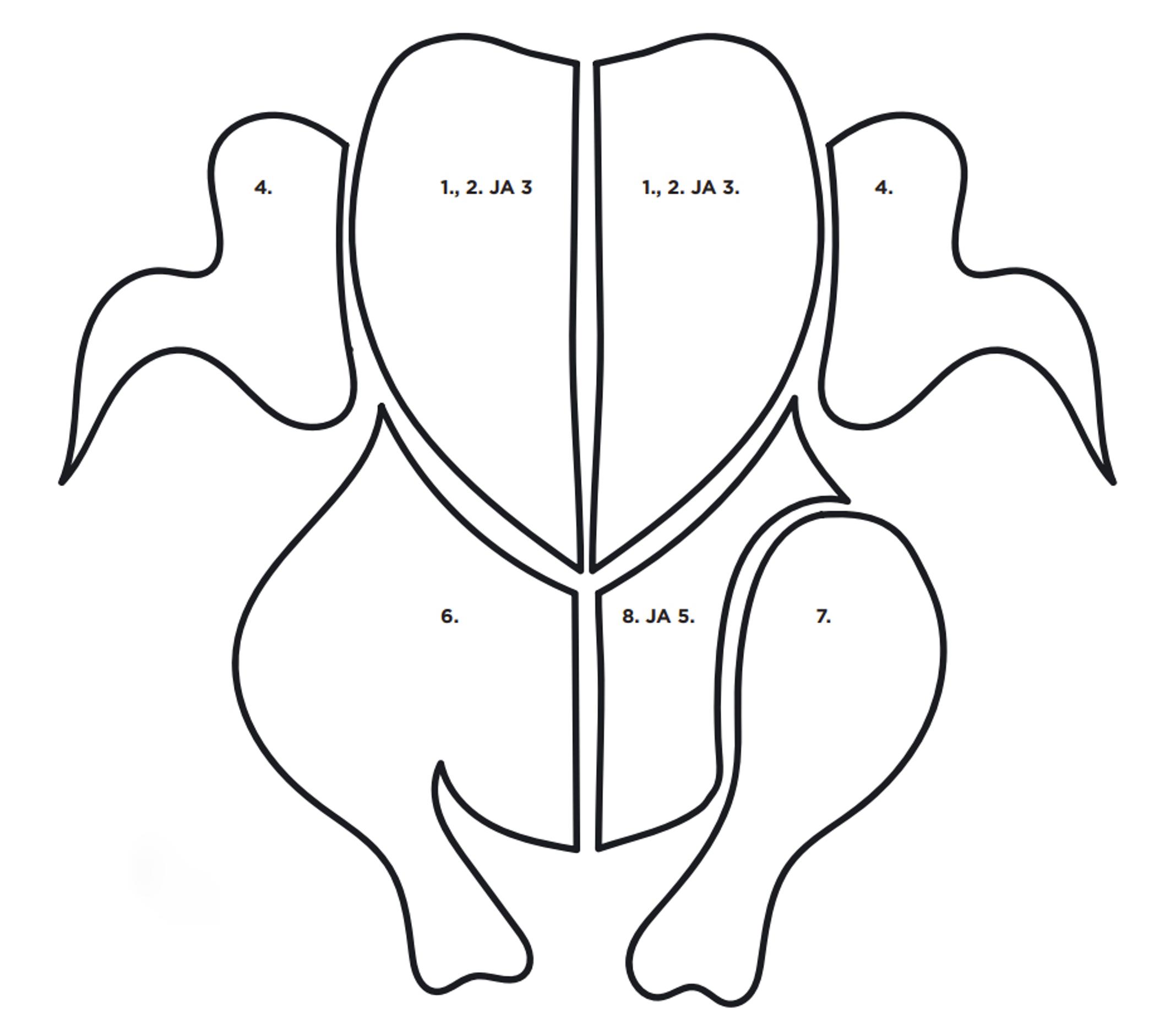Piirroskuvan kanan/broilerin eri osista