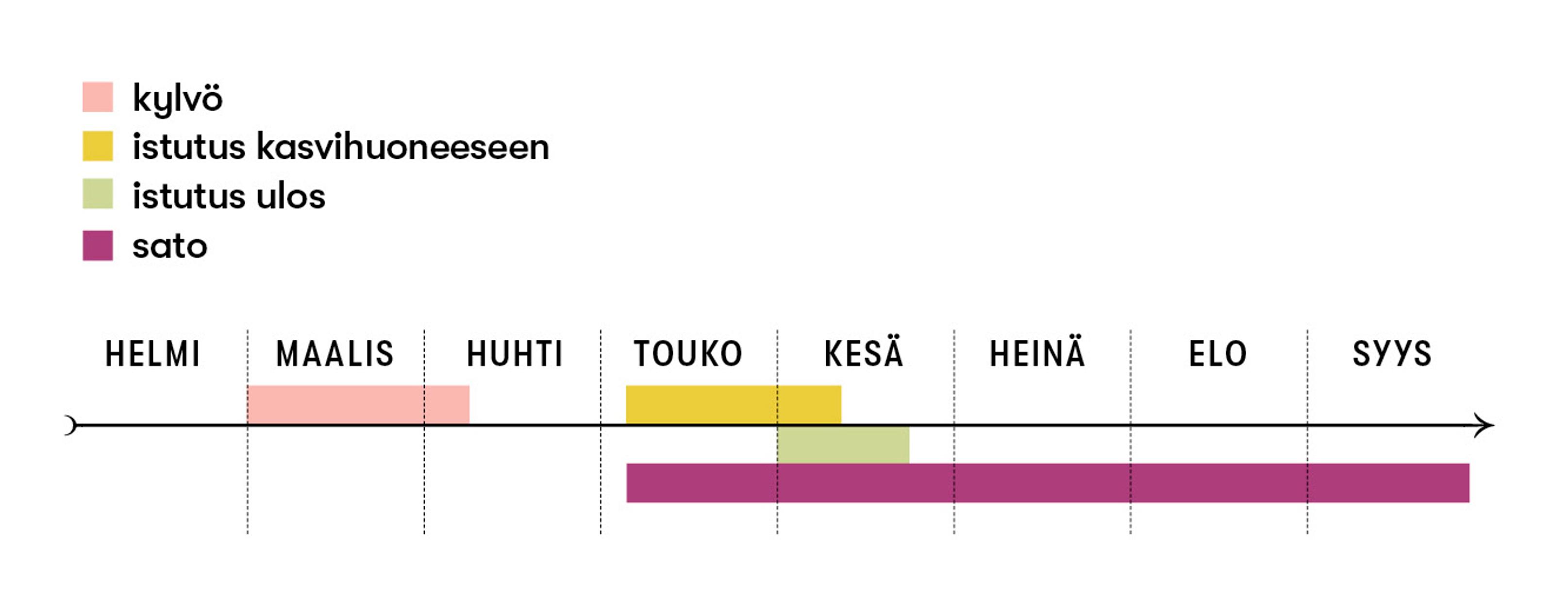 Veripeipin kylvö-, istutus- ja satoajat