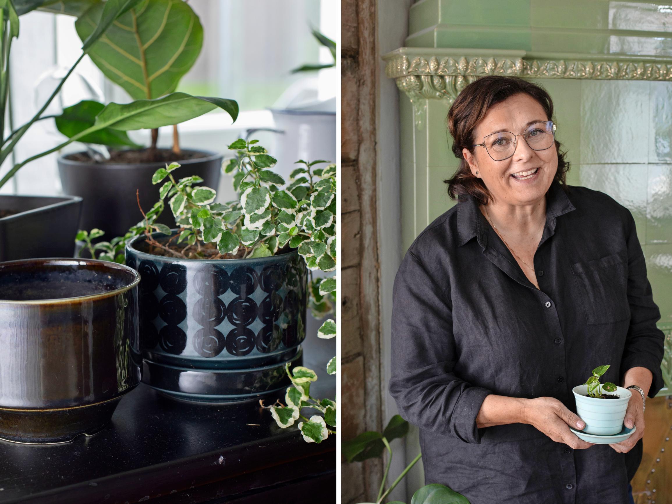 Elisalla on taito löytää haluttuja Arabian ja Kupittaan Saven vanhoja ruukkuja muutamilla euroilla: ”Osa keräilyn viehätystä on tehdä edullisia hankintoja”