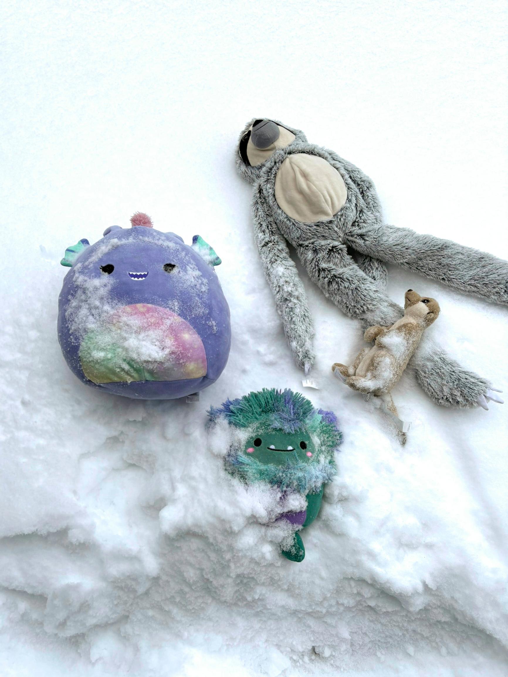 Talvipäivän siivousniksi: Lumipesu raikastaa monet matot, vaatteet ja pehmot – näin onnistut!