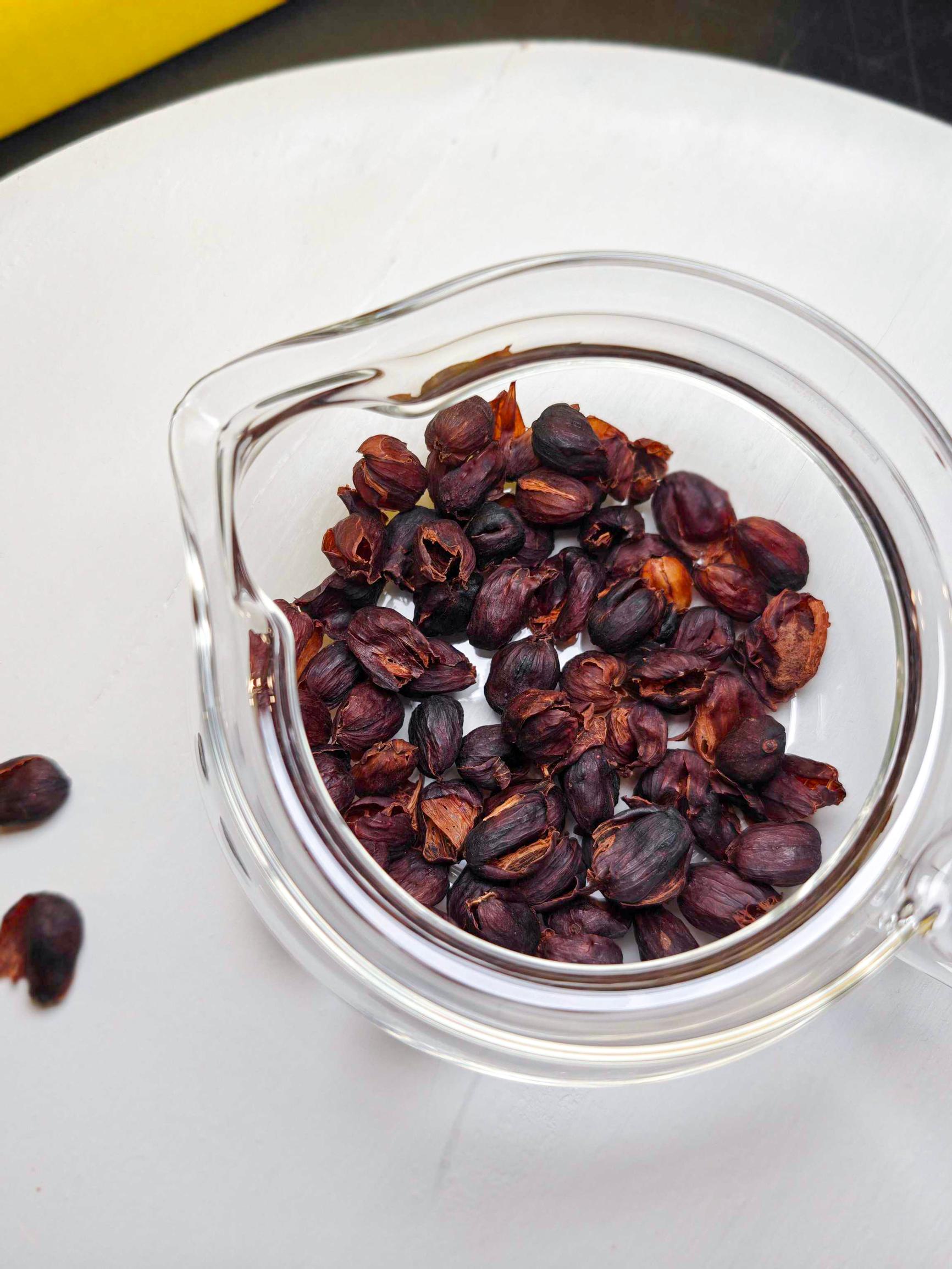 Mikä ihmeen cascara? Kahvimarjan kuoresta voi uuttaa juomaa, joka ei maistu lainkaan kahvilta