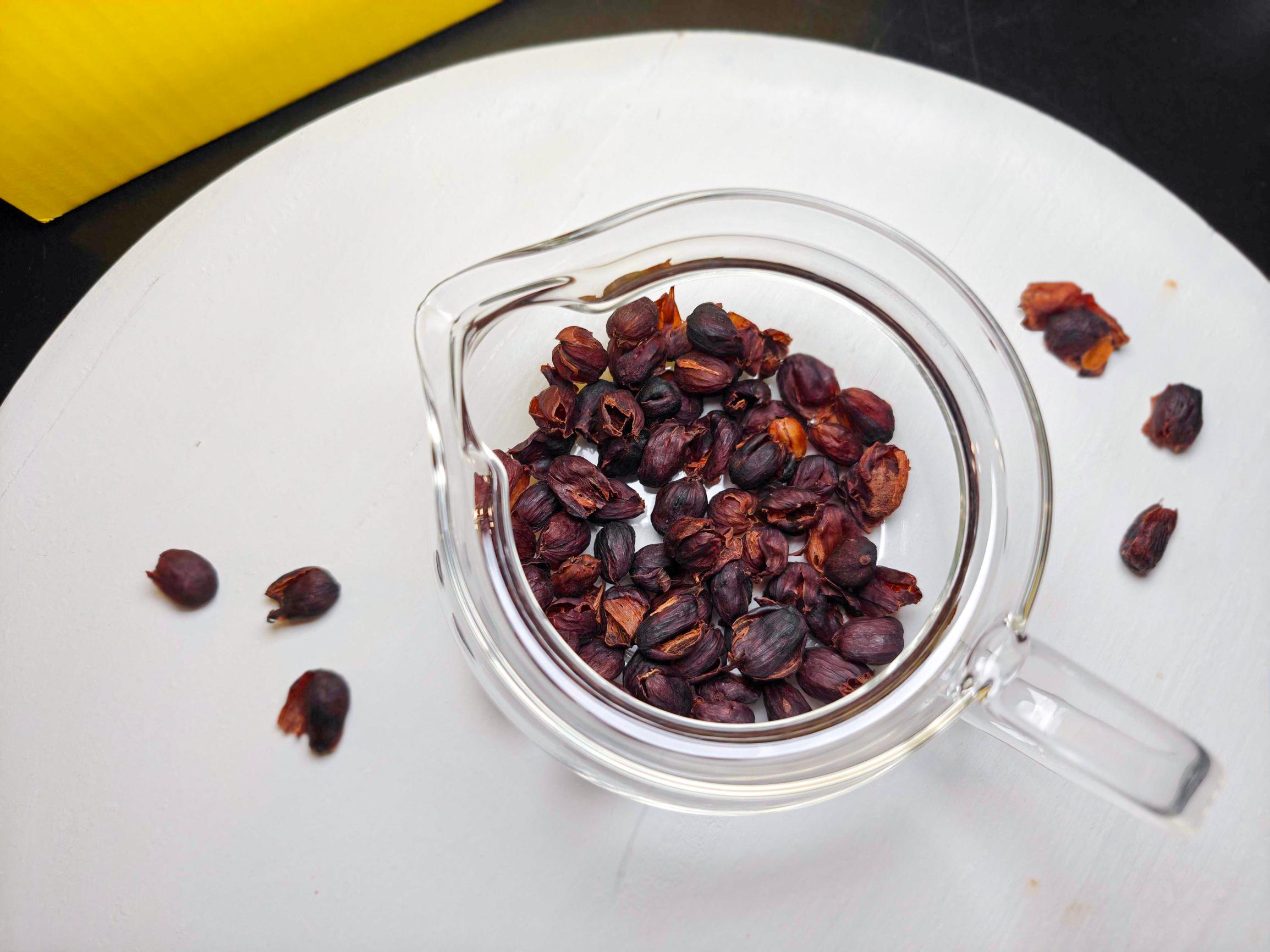 Mikä ihmeen cascara? Kahvimarjan kuoresta voi uuttaa juomaa, joka ei maistu lainkaan kahvilta