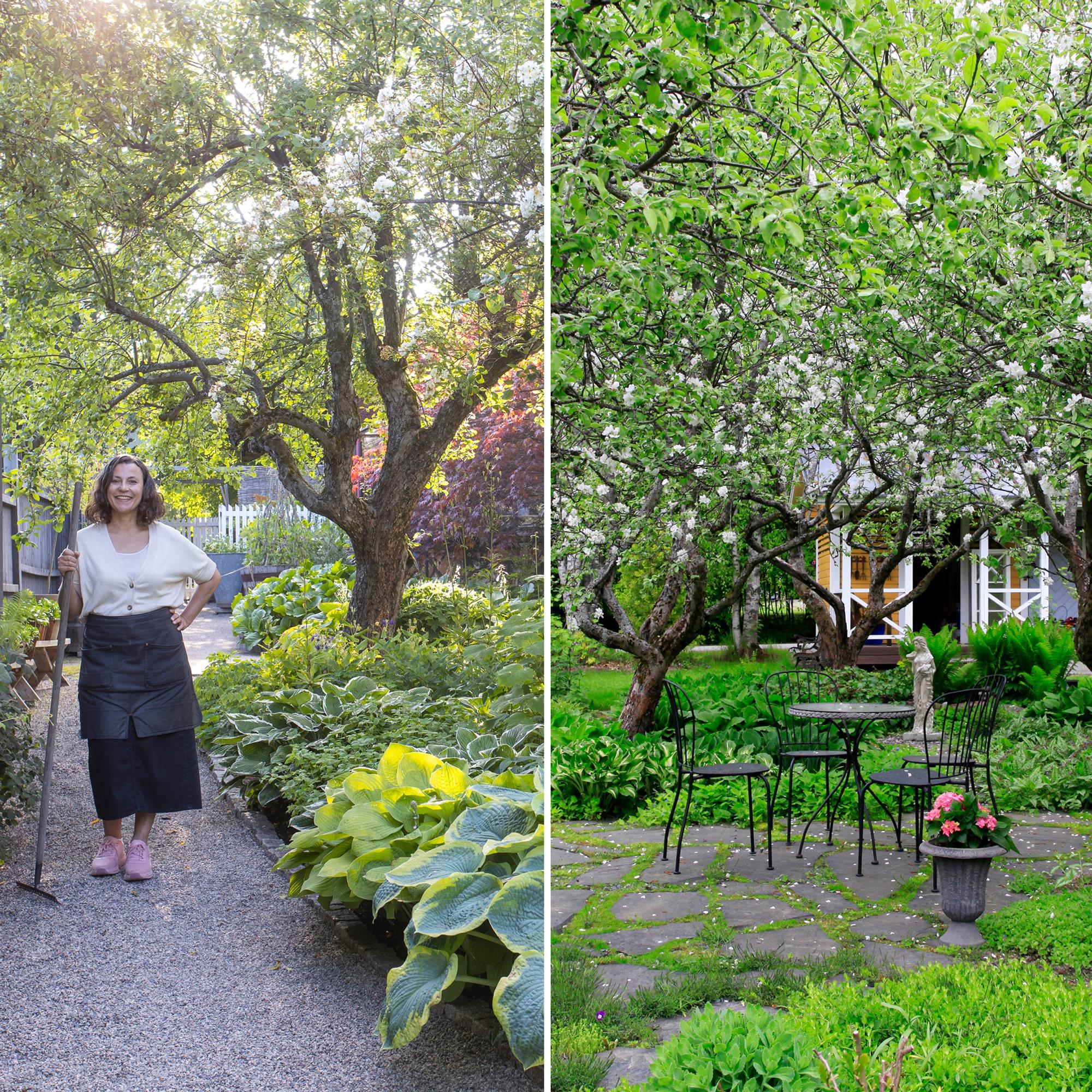 Juolavehnästä raivattu omenatarha, puolivillit no dig -niityt + 3 muuta puutarhaa, jotka hurmasivat vuonna 2025