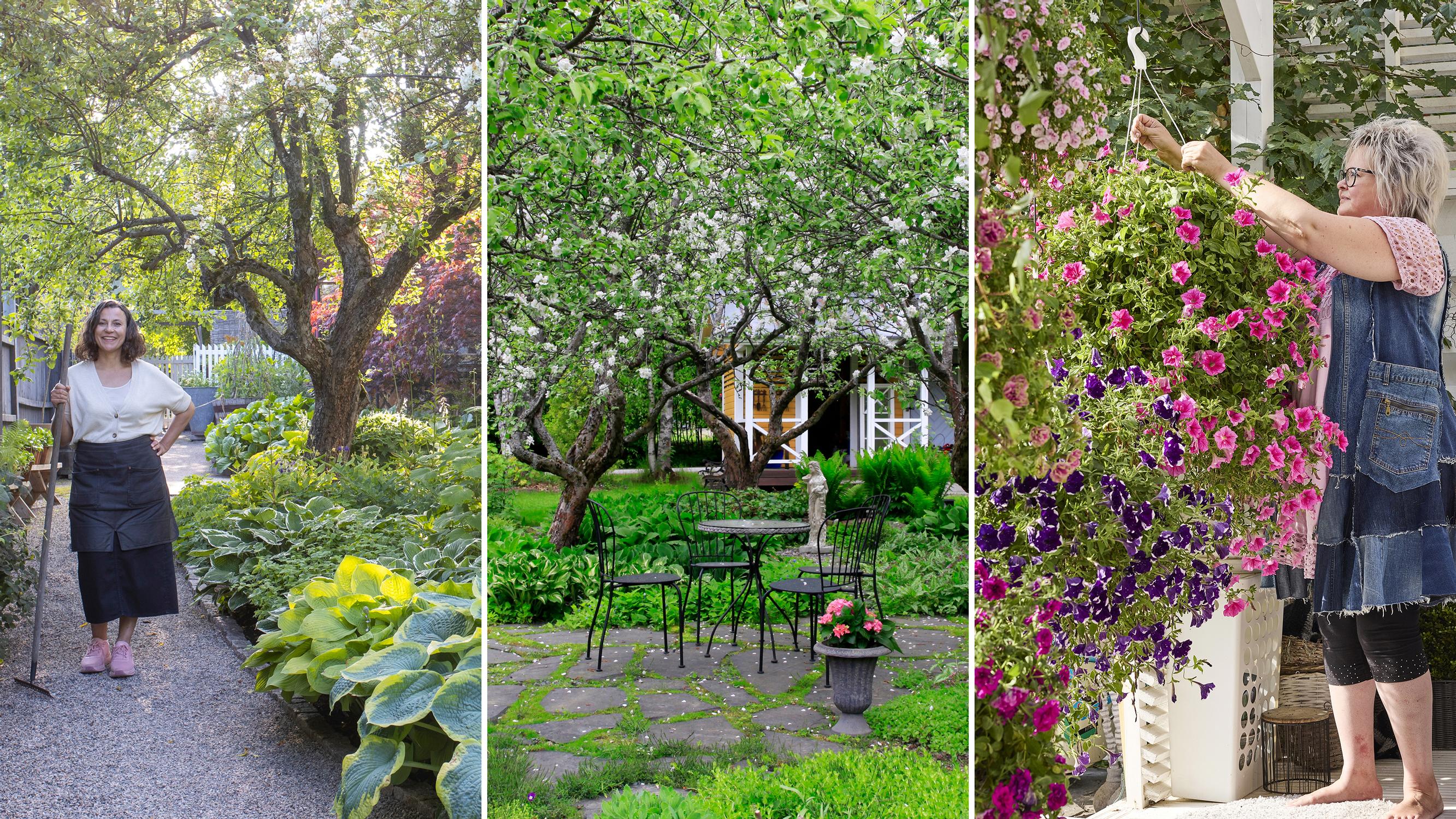 Juolavehnästä raivattu omenatarha, puolivillit no dig -niityt + 3 muuta puutarhaa, jotka hurmasivat vuonna 2025