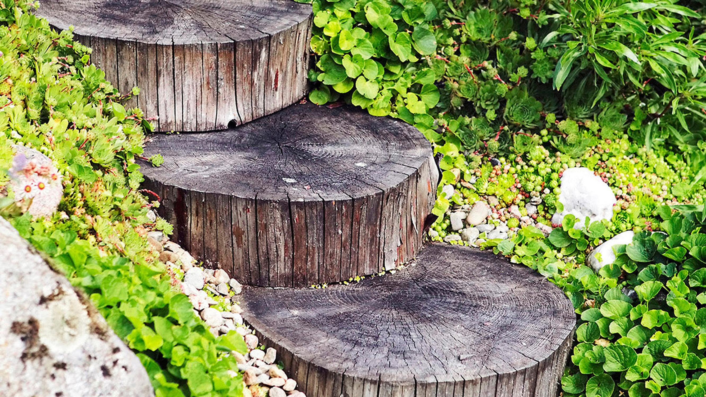 Tuunaa ja tee itse! Nämä erikoislehdet innostavat tarttumaan kodin pieniin ja suuriin projekteihin