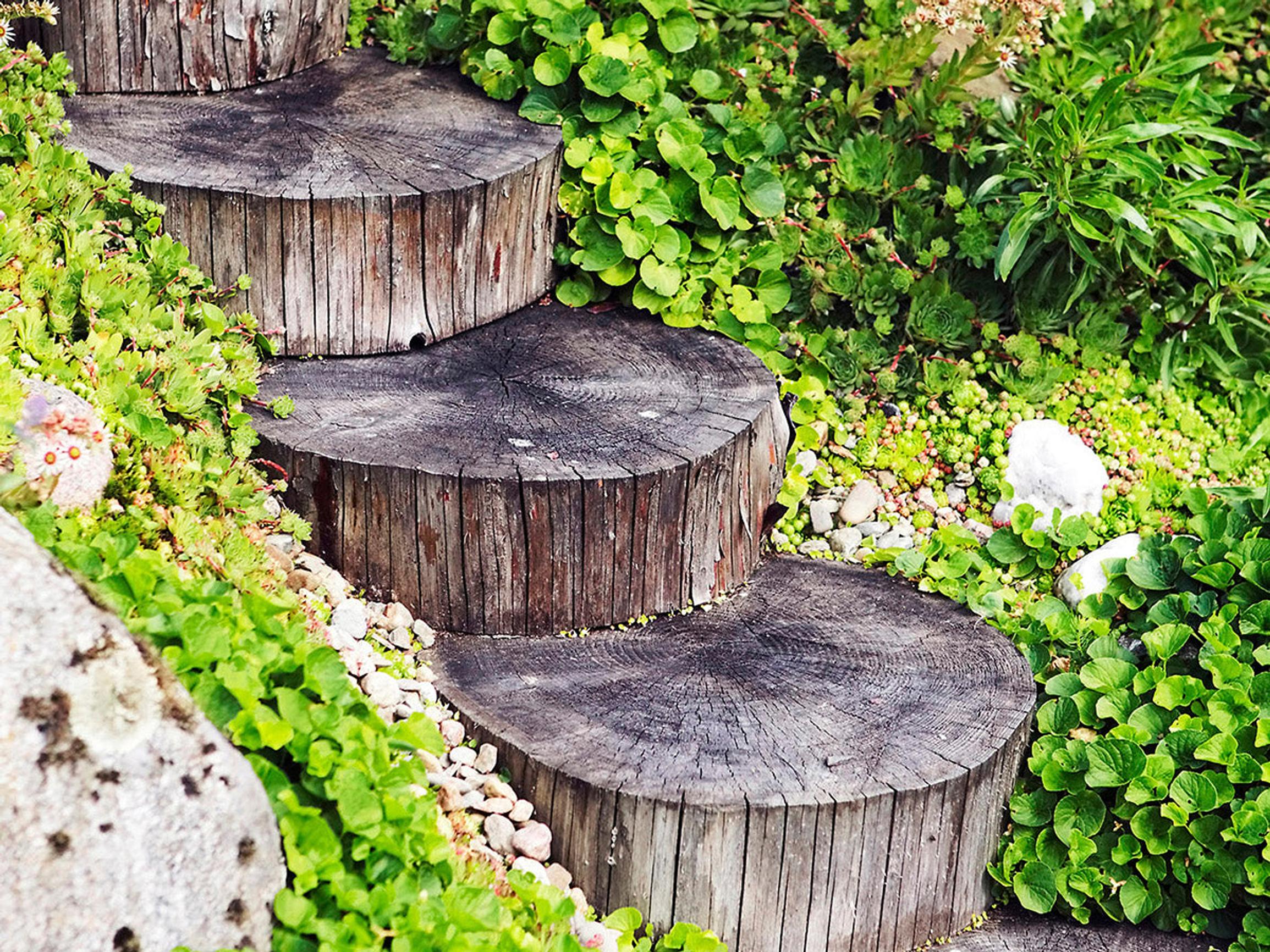 Tuunaa ja tee itse! Nämä erikoislehdet innostavat tarttumaan kodin pieniin ja suuriin projekteihin