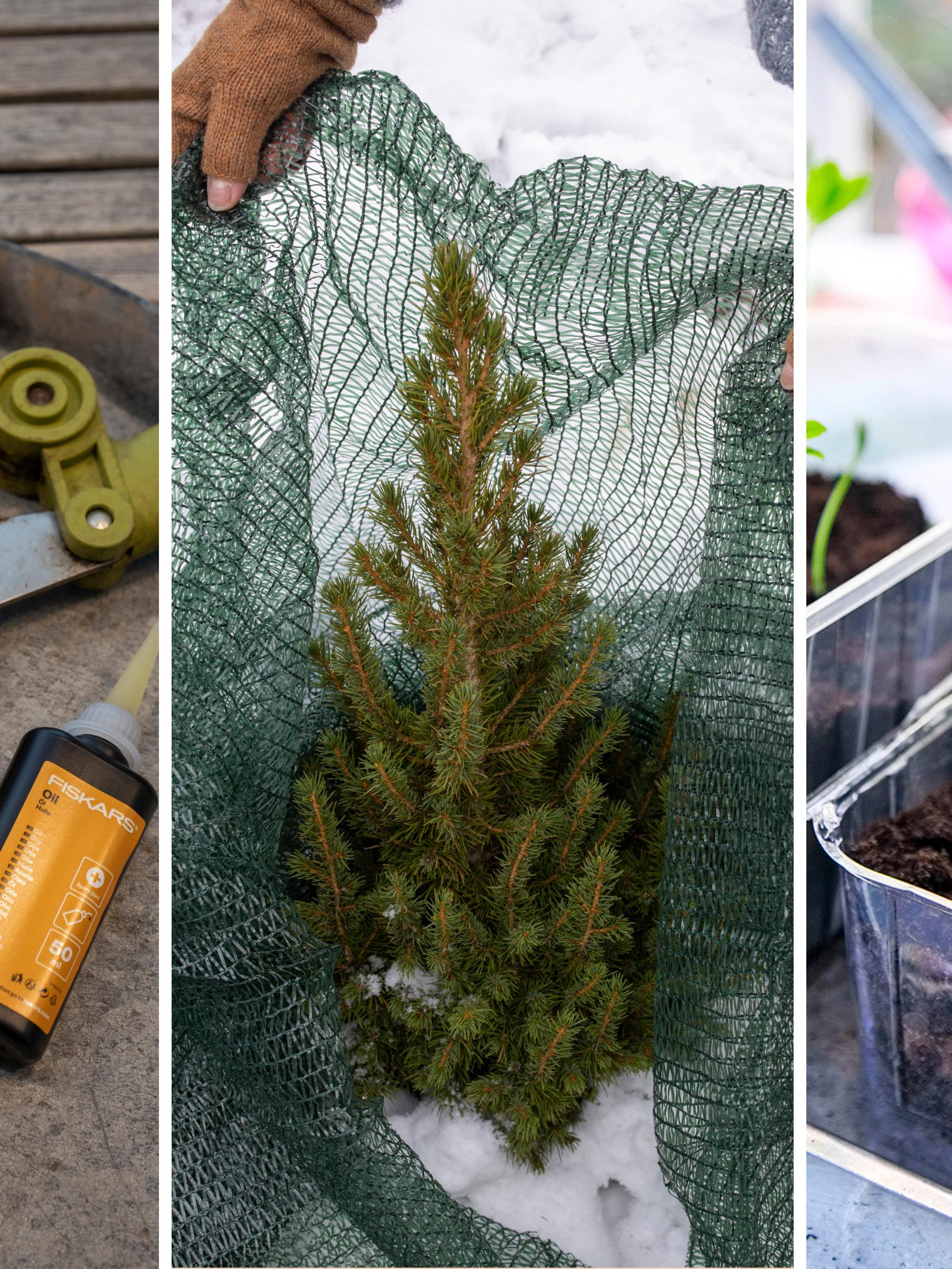 Mitä alkuvuodesta voi puuhailla puutarhassa ja sisällä kasvien parissa? Tässä tammikuun muistilista tarhurille