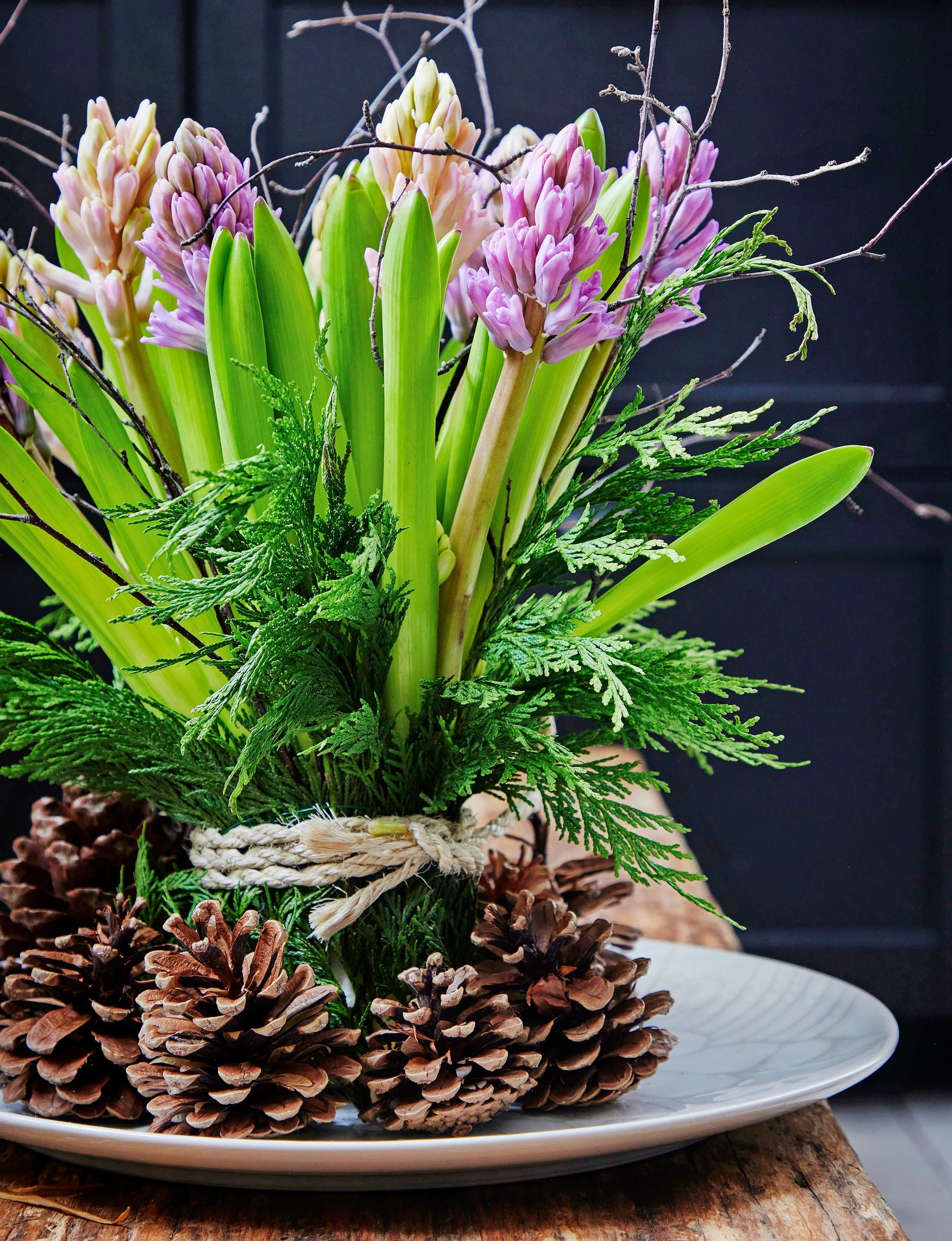 Joulukukkien hoito: hyasintit ovat näyttäviä leikkokukkia.