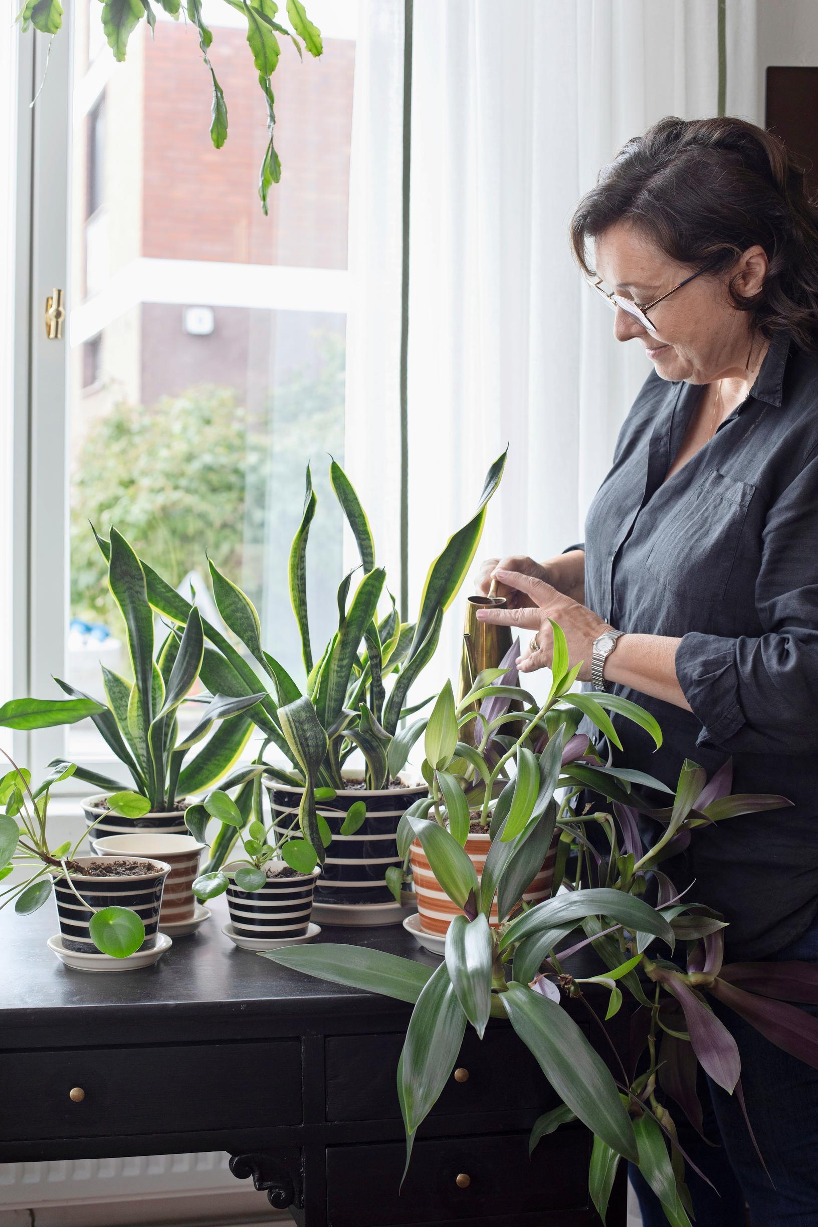 Elisa edessään kasveja Arabian SD4-sarjan raidallisissa ruukuissa