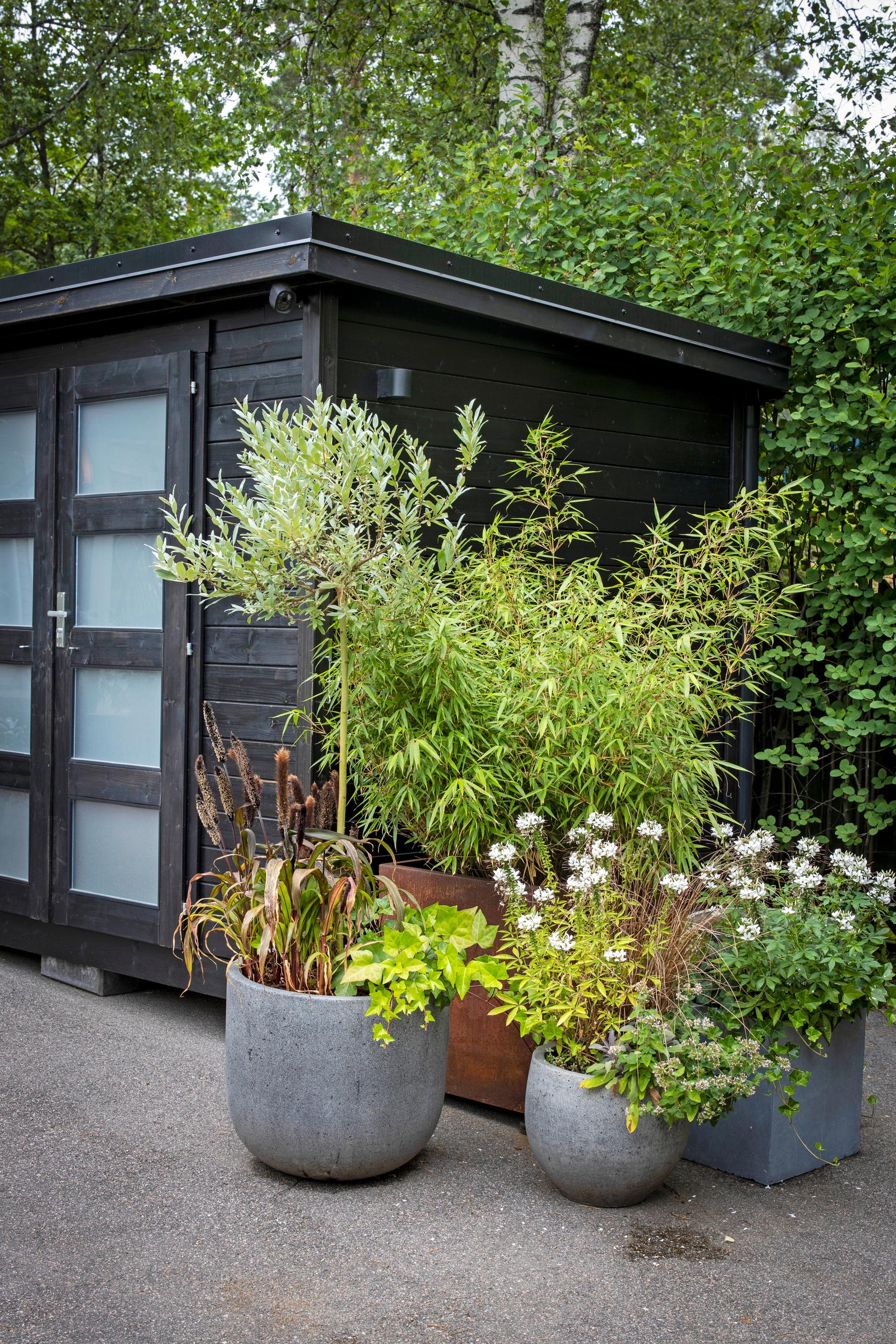 Näyttävä ruukkukasviasetelma pihavajan seinustalla