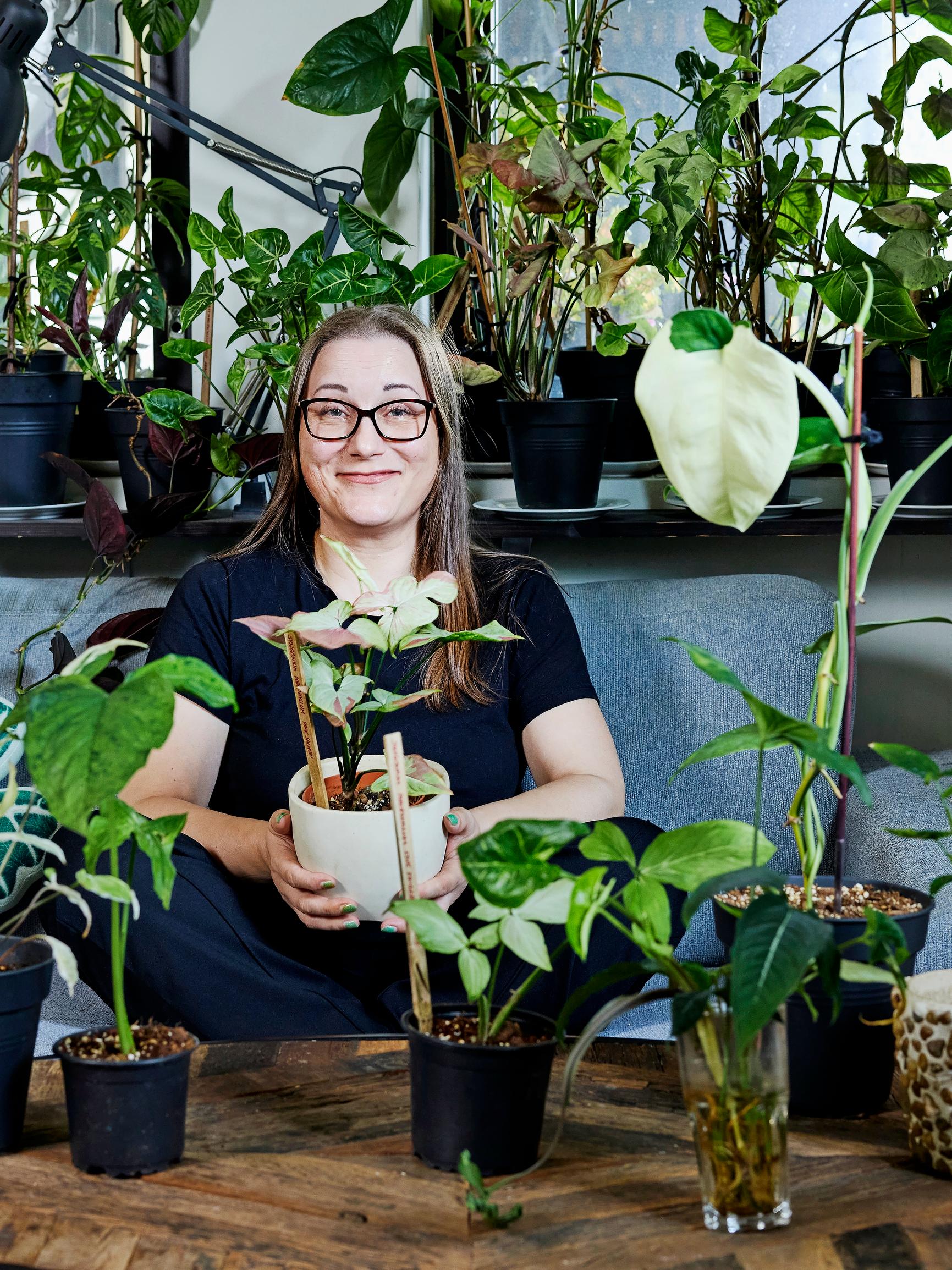 Hanna hurahti komealehtisiin muulinkorviin – vinkkaa hoitoniksit ja helpoimman kultakorvan, joka ”kasvoi 1,5 vuodessa kattoon saakka”