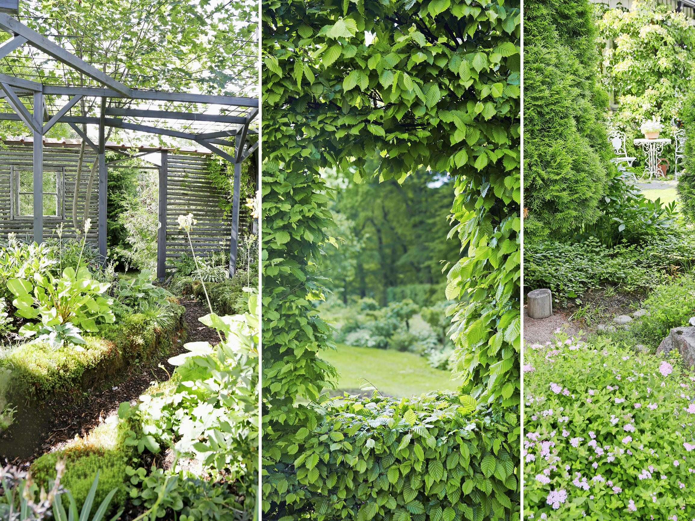 Lisää tunnelmaa, yksityisyyttä ja kokoa! Puutarha kannattaa jakaa huoneisiin – näin se onnistuu