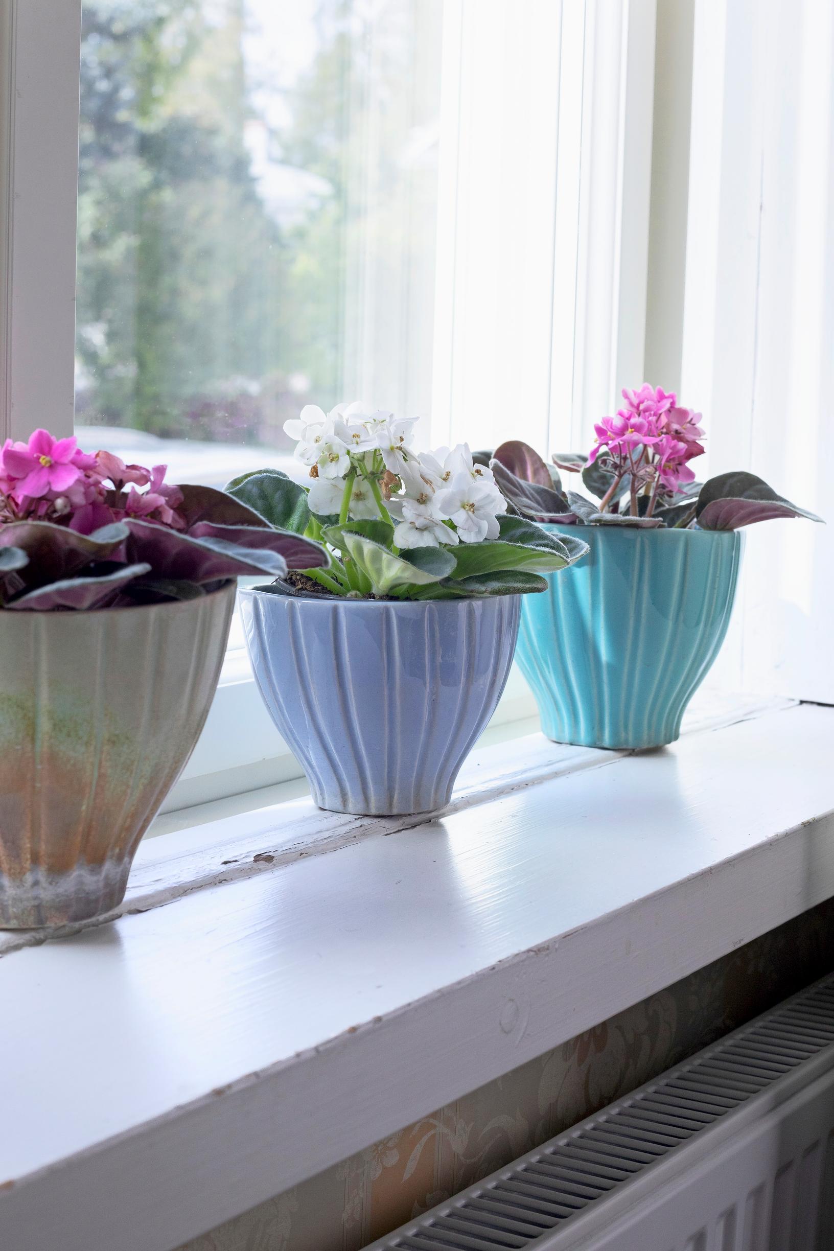 Kupittaan Saven värikkäitä ruukkuja ikkunalaudalla