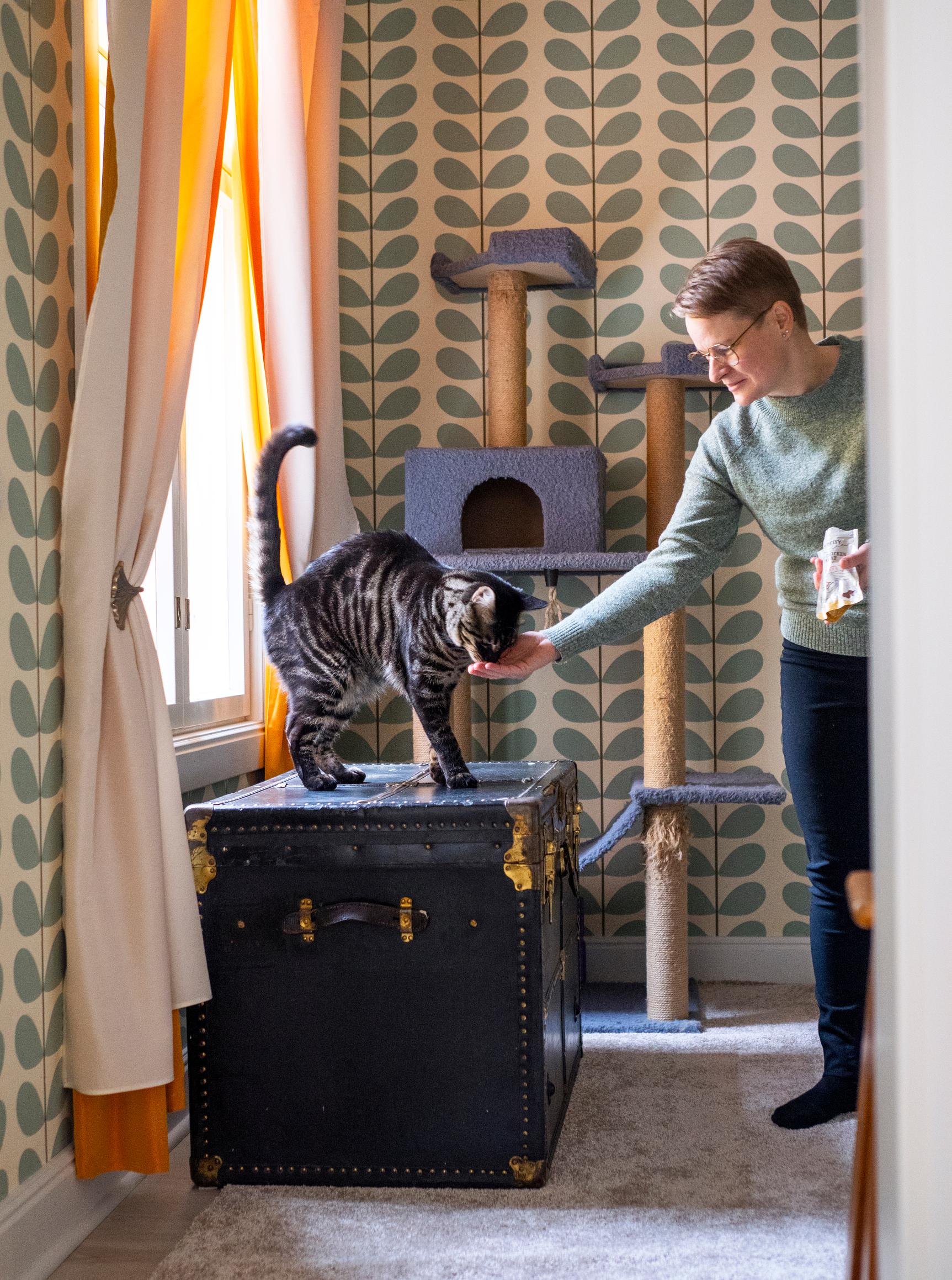 Liisa Niiranen, Rauma.