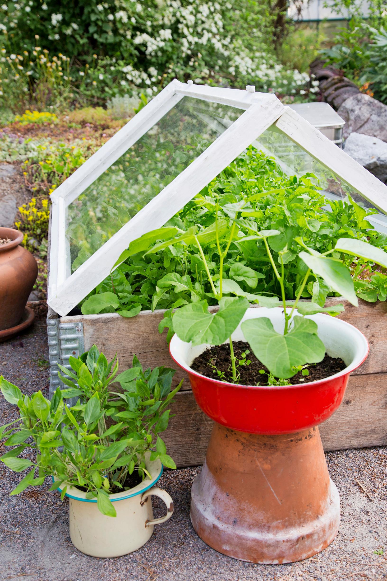 lavakaulus ja katto ikkunoista