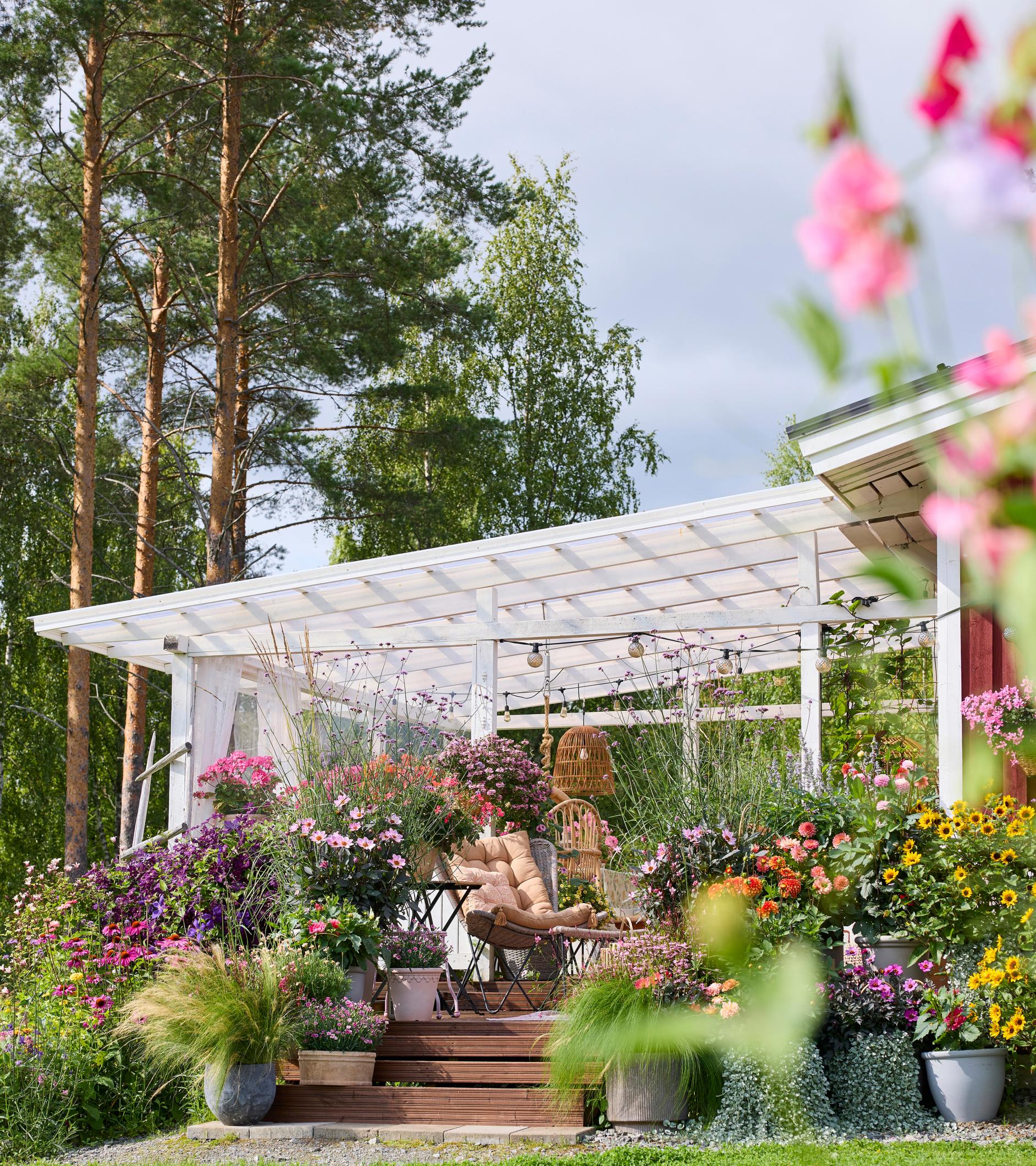 12 hanging basket ideas for lush summer flower displays | Kotona Living