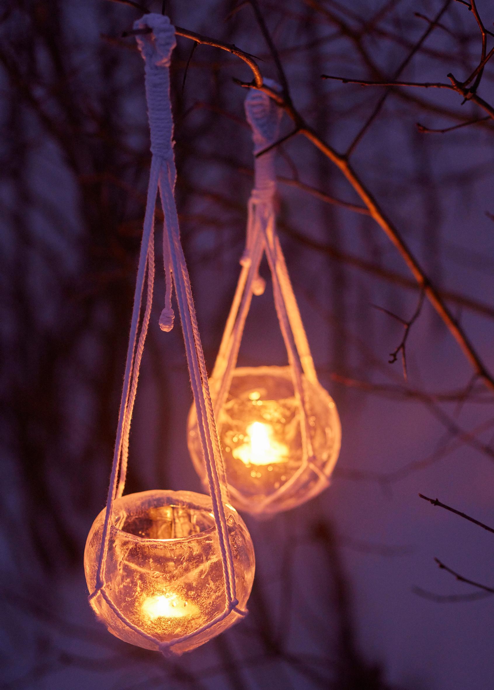 Jääamppelit puussa