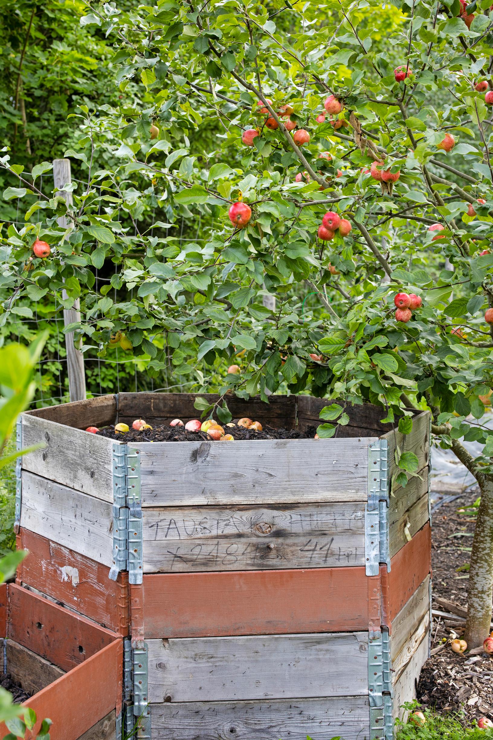 lavakaulus, kompostikehikko, kerroksellinen lavakaulus