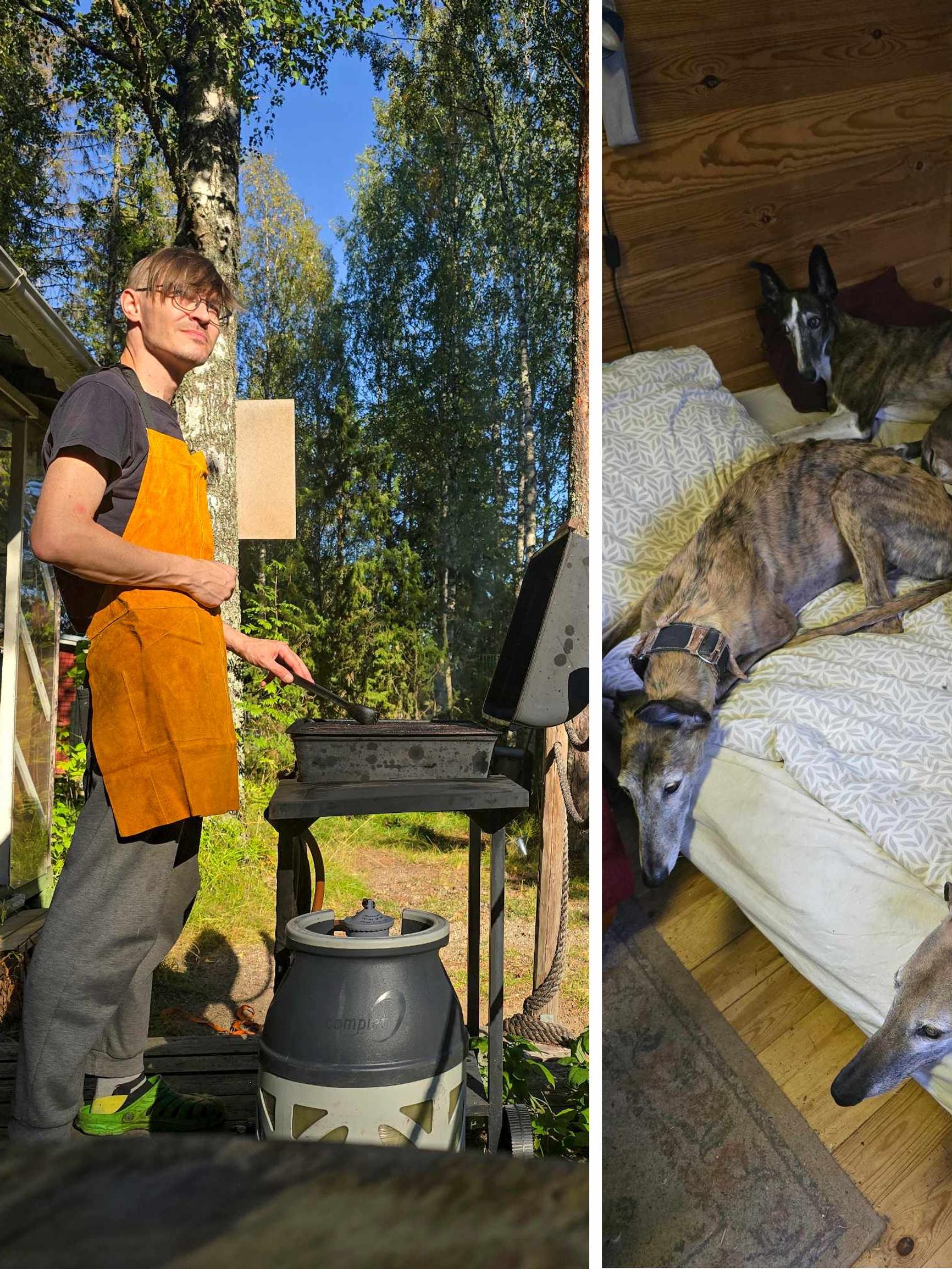 Henrik mökkeilee kuuden rescuekoiran kanssa – ”Olen yksin, mutta en yksinäinen”