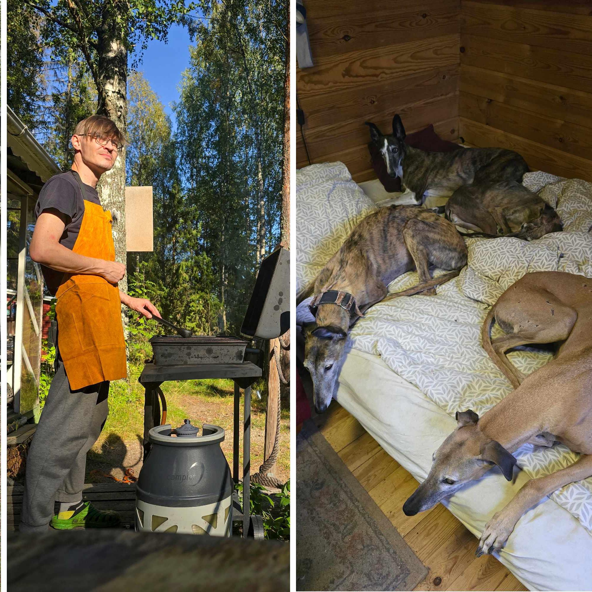 Henrik mökkeilee kuuden rescuekoiran kanssa – ”Olen yksin, mutta en yksinäinen”