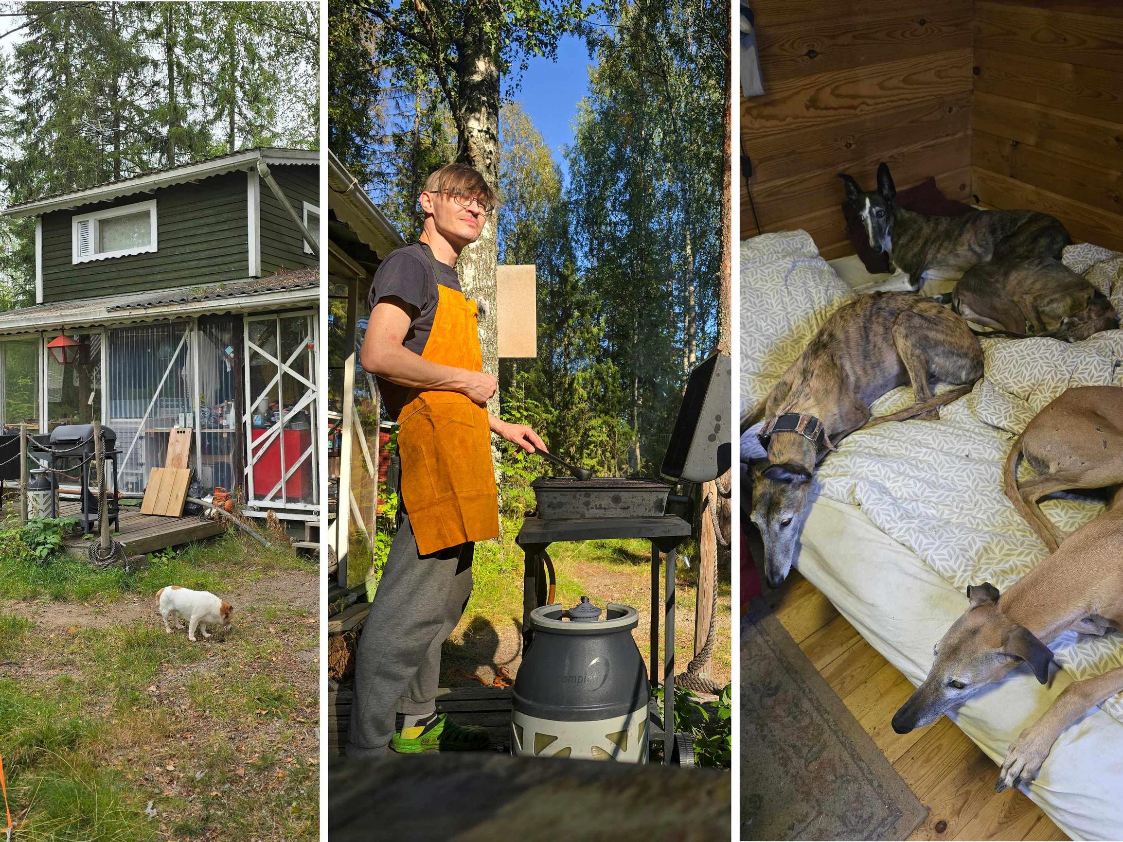 Henrik mökkeilee kuuden rescuekoiran kanssa – ”Olen yksin, mutta en yksinäinen”
