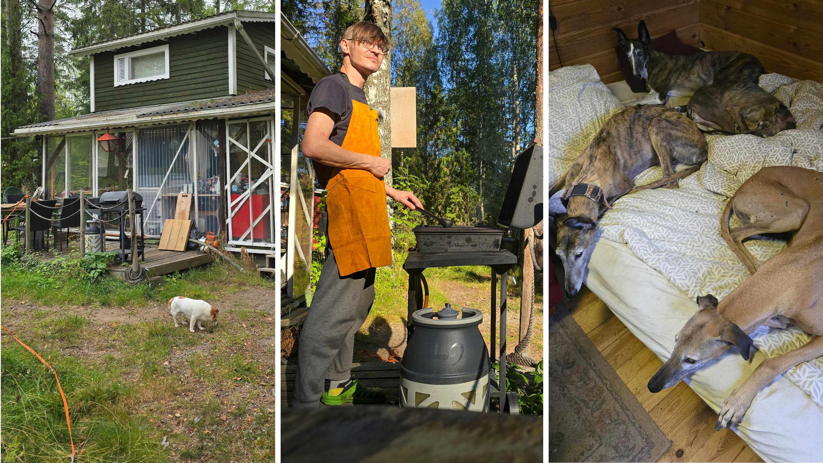 Henrik mökkeilee kuuden rescuekoiran kanssa – ”Olen yksin, mutta en yksinäinen”