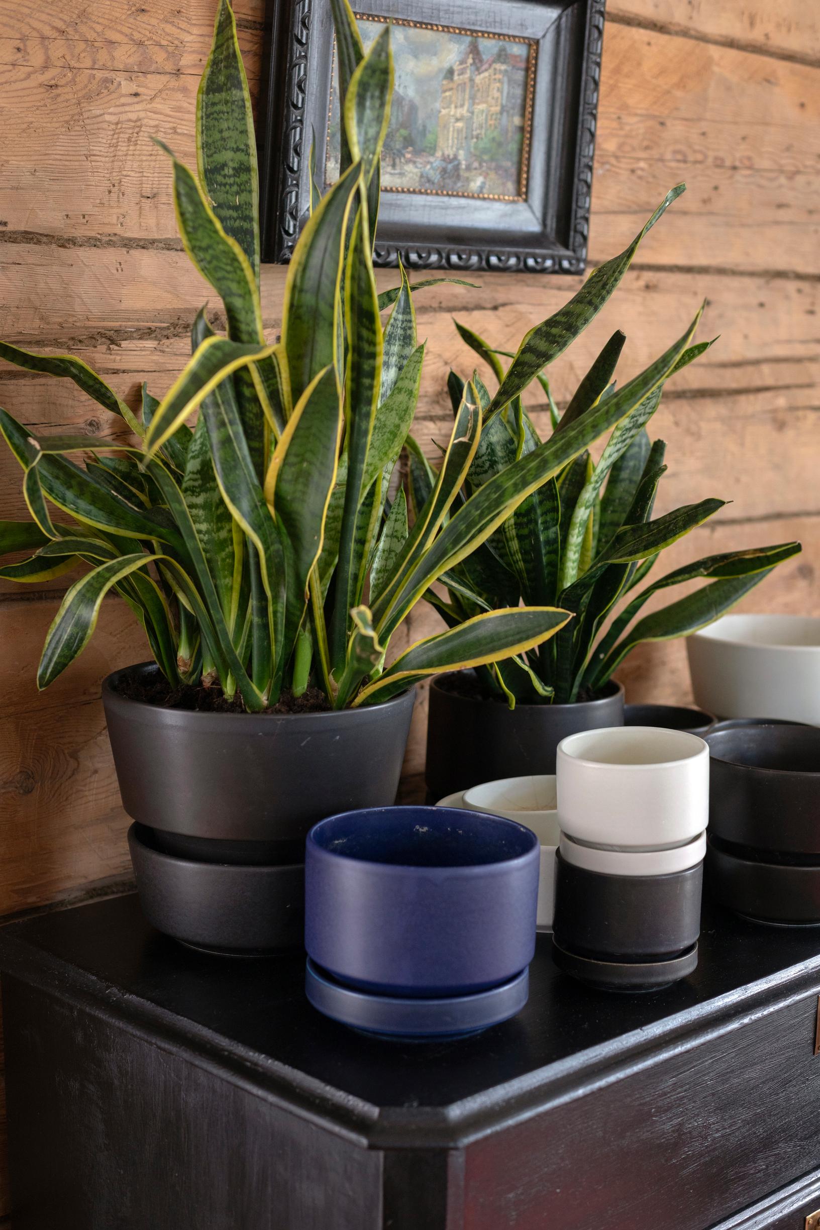 Pöydällä Arabian SD- ja SN-sarjojen ruukkuja