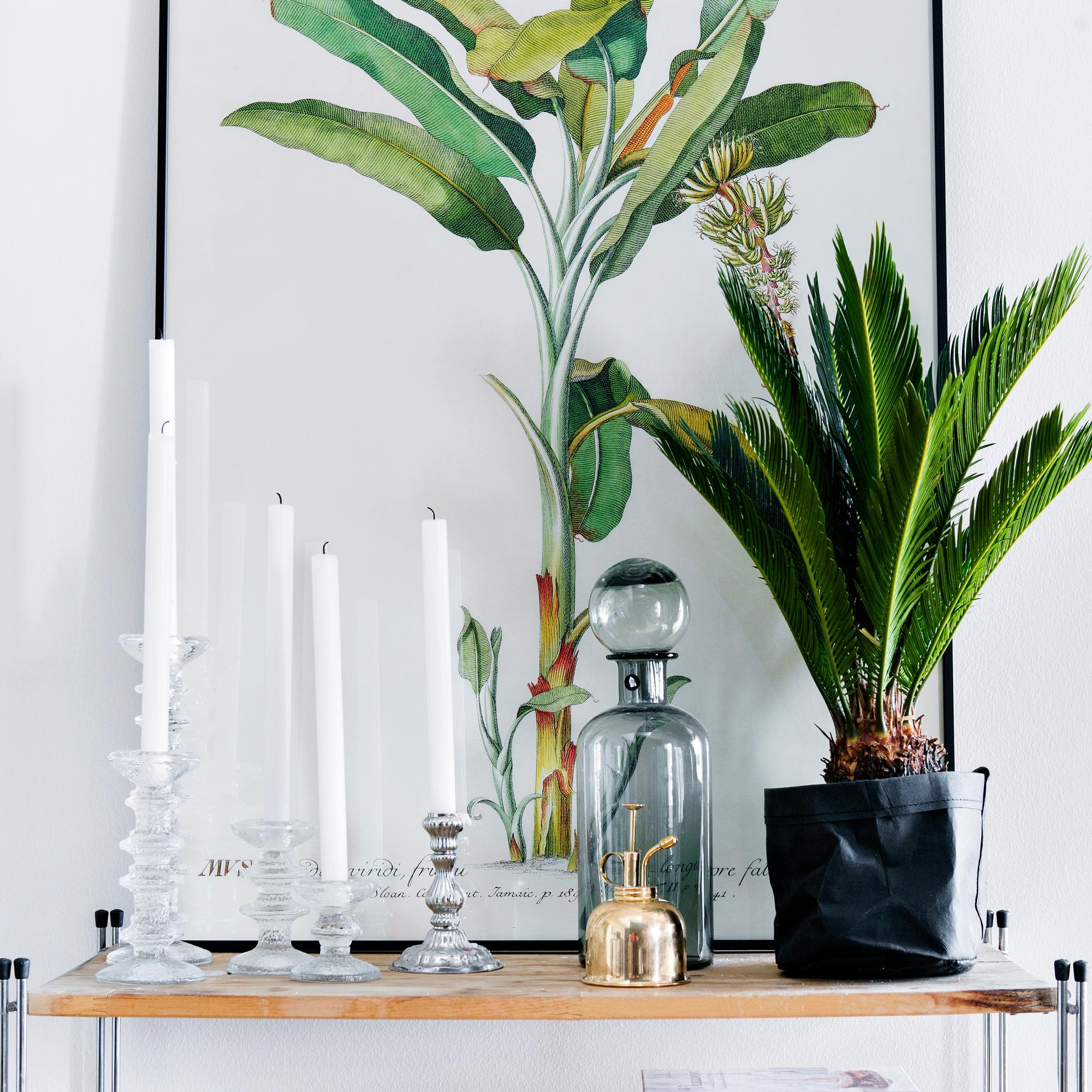 Onko sinulla Suomen kallein Festivo-kynttilänjalka? Lue, mitkä versiot ovat harvinaisimpia