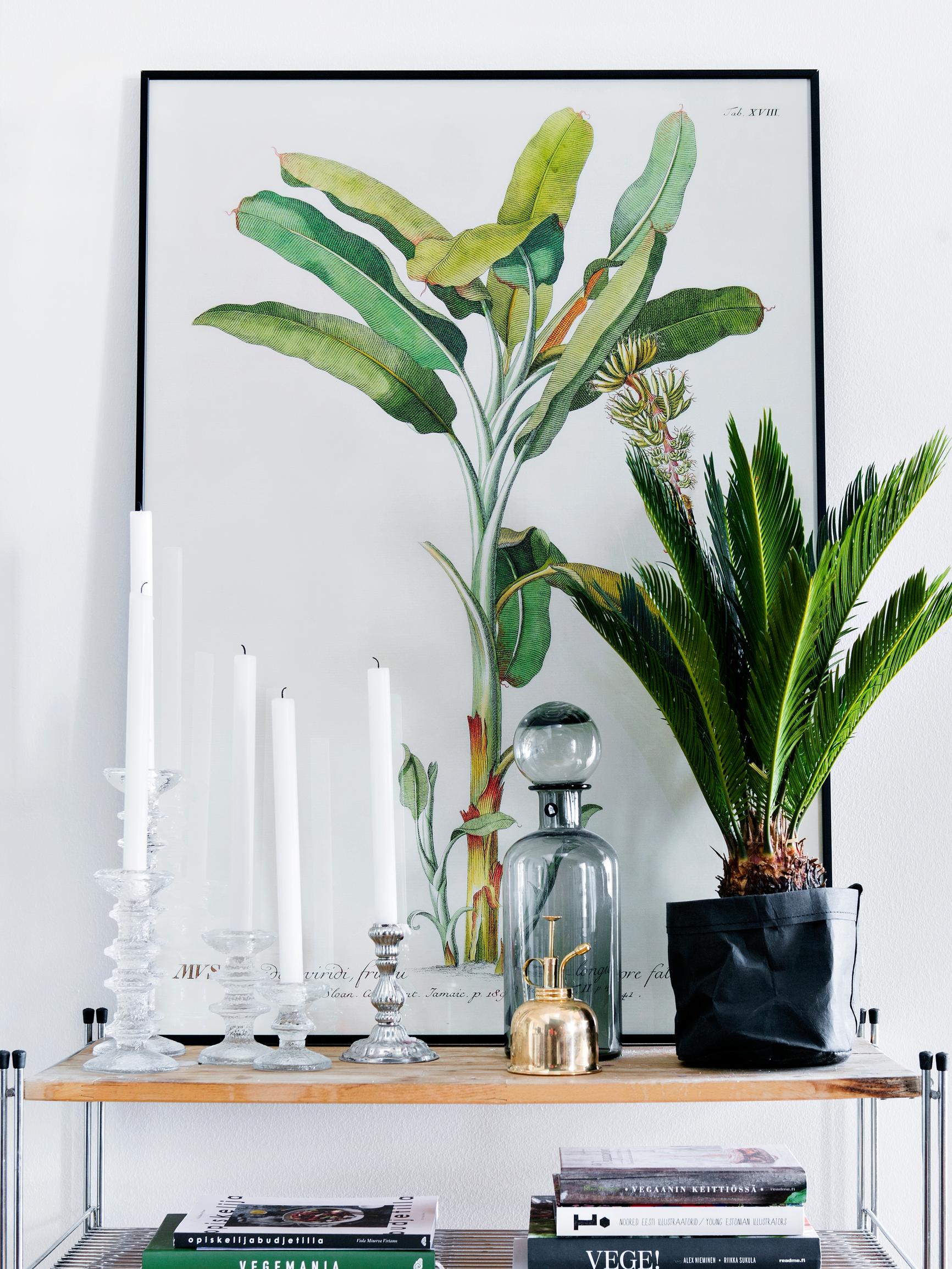 Onko sinulla Suomen kallein Festivo-kynttilänjalka? Lue, mitkä versiot ovat harvinaisimpia