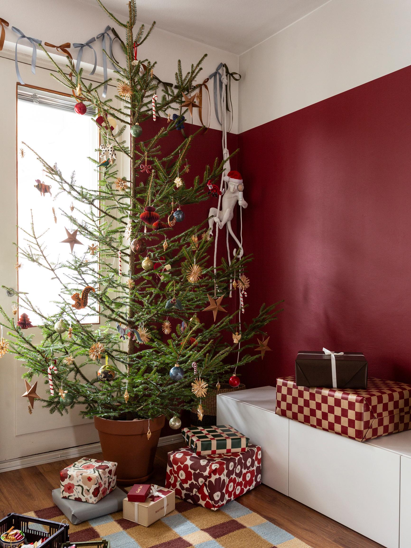 Maailmalla ihastellaan nyt ”laihdutuslääkekuusia”, jotka ovat suomalaisille tuttuakin tutumpia