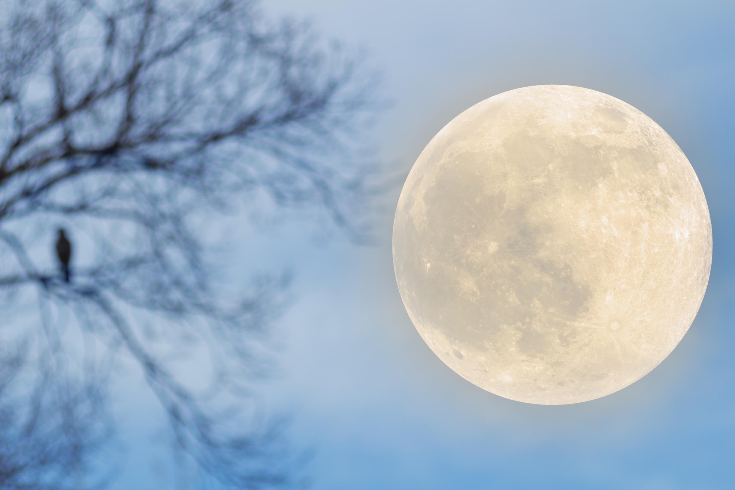 Täysikuu taivaalla