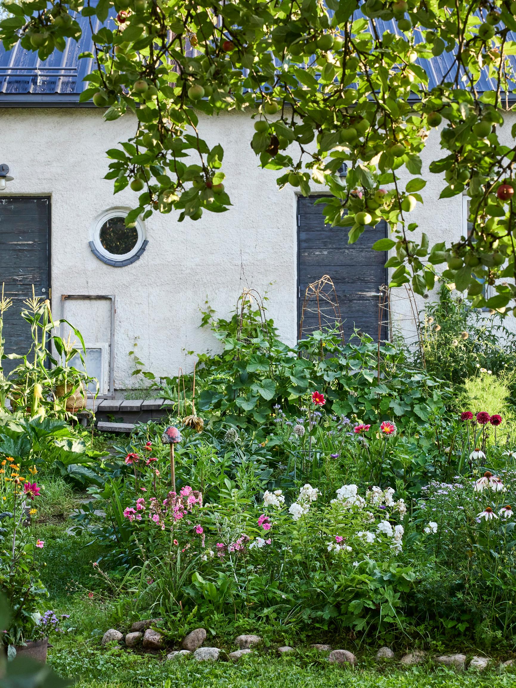 Onko sinulla puutarha tai harrastatko huonekasveja? Kerro meille ajatuksiasi ja osallistu arvontaan! 