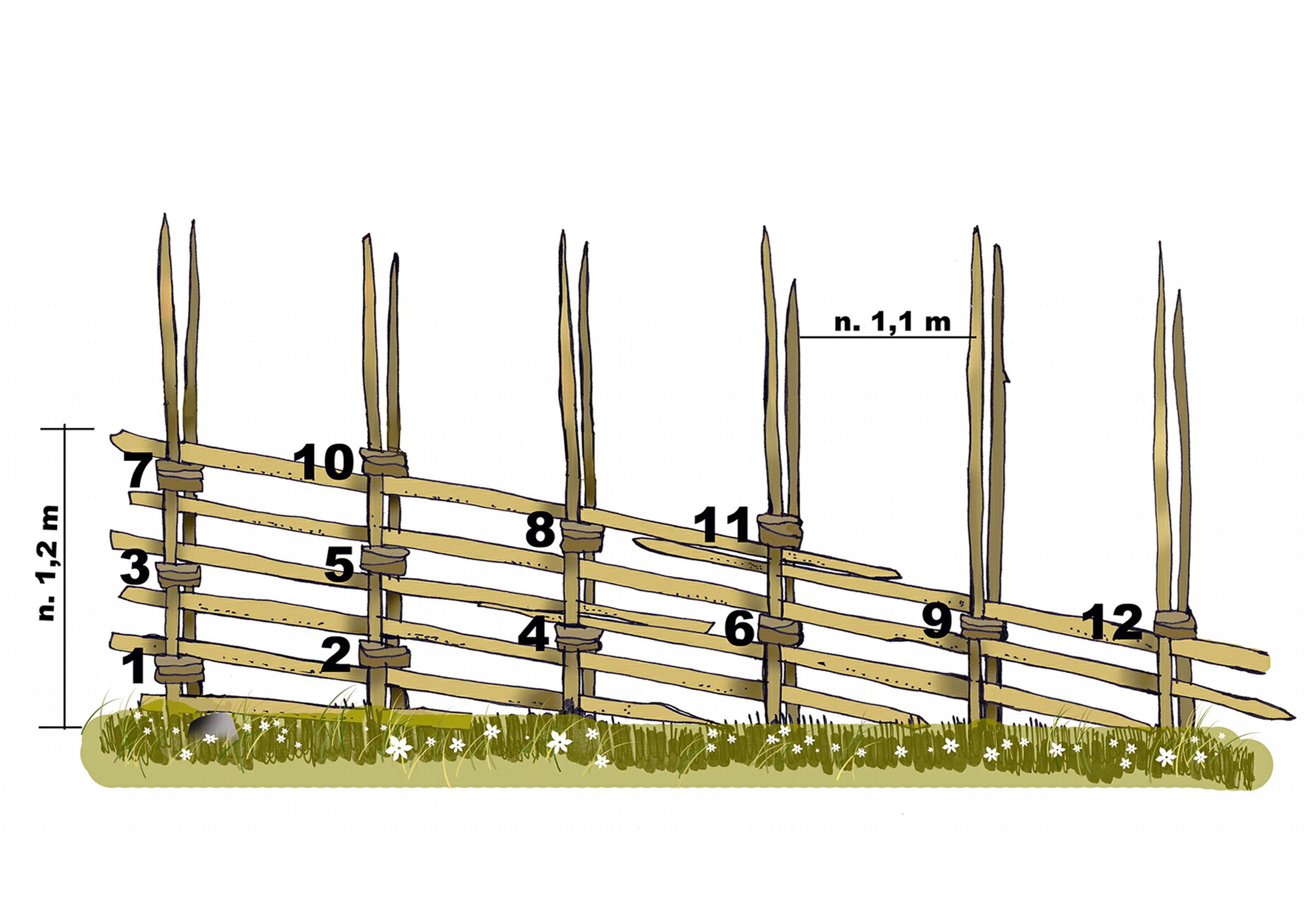 Riukuaidan suunnittelu