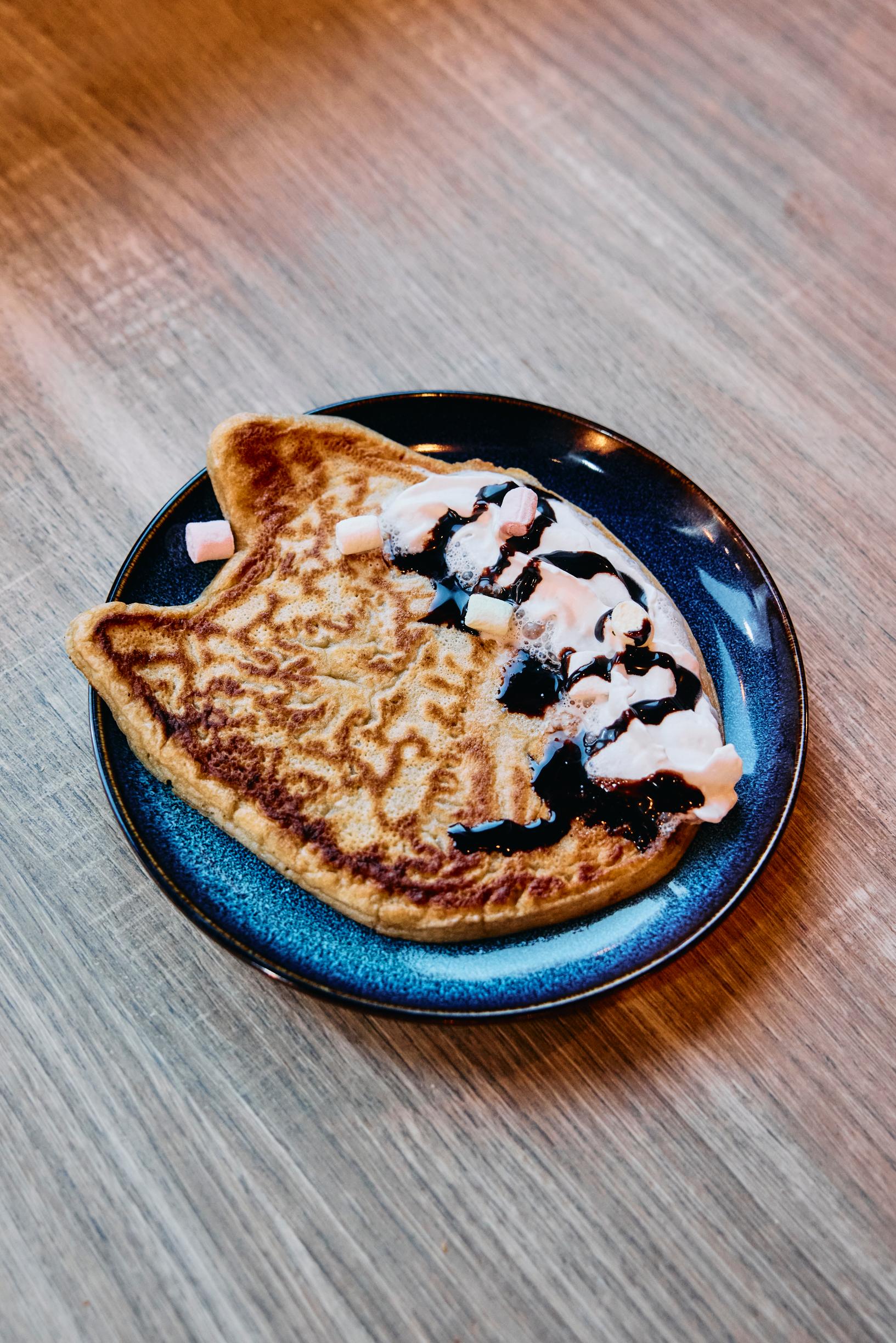 Joulupukin Pajakylä: husky-pannareita