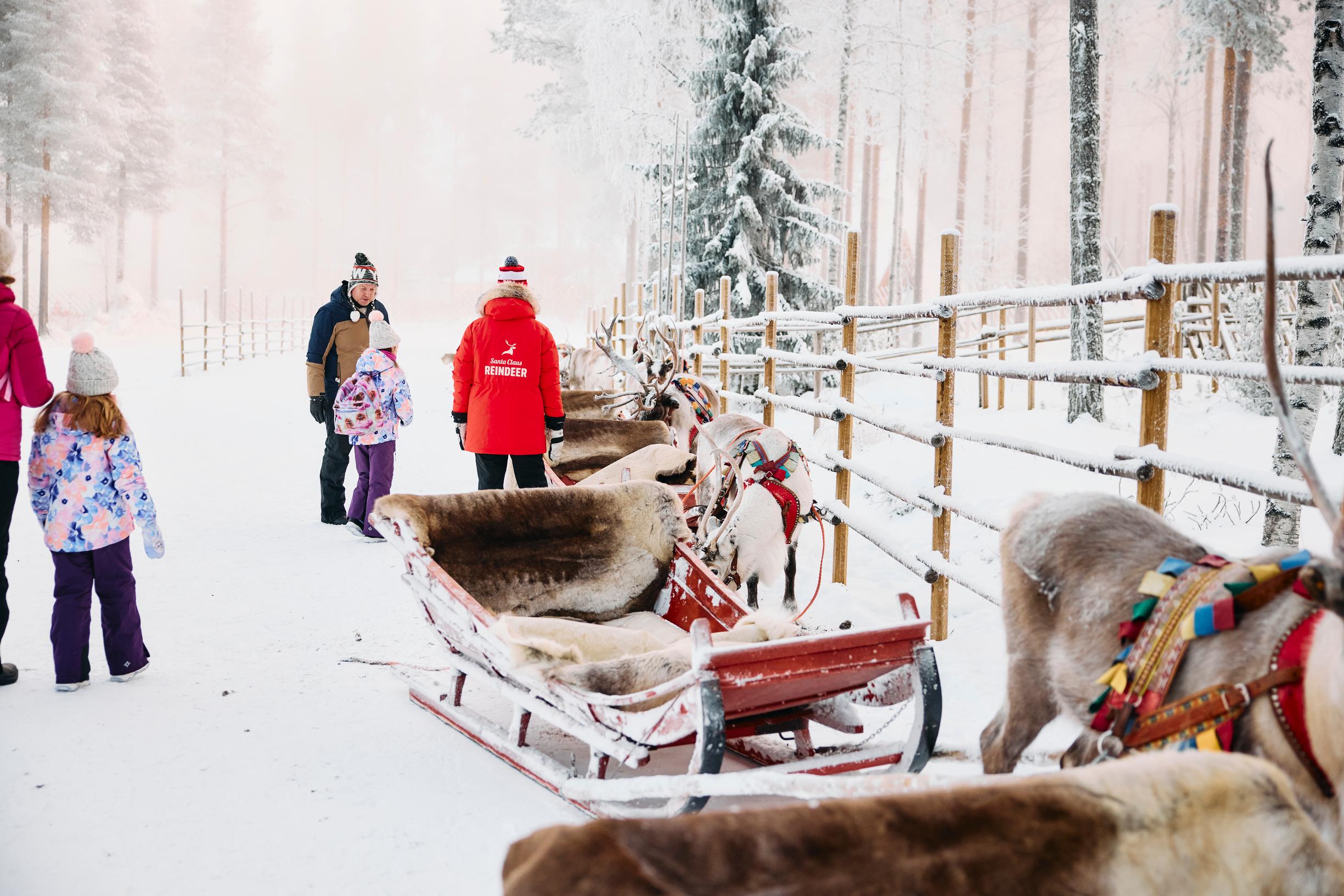 Joulupukin Pajakylä: porovaljakko odottaa lähtöä