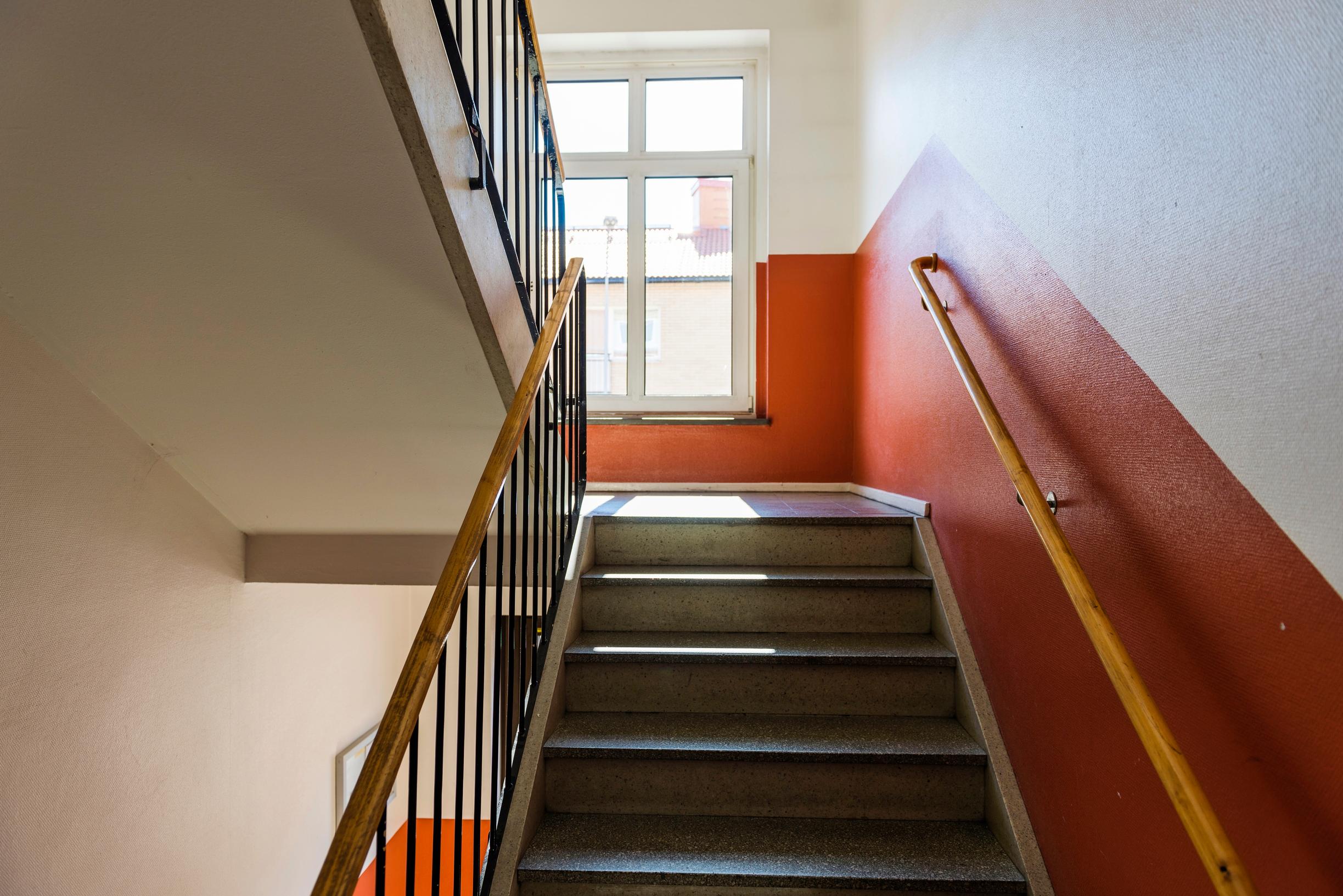 Suksipa naapuri suolle! Naapurisovittelija ratkoo työkseen erimielisyyksiä – joskus entiset riitapukarit voivat jopa ystävystyä