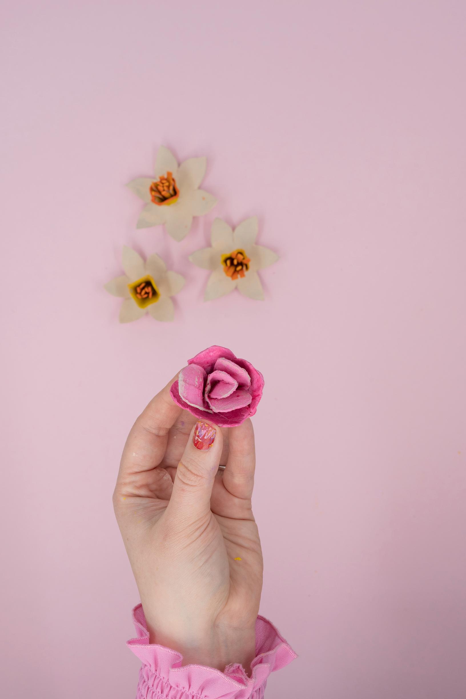 Pinkki munakennotulppaani valmiina