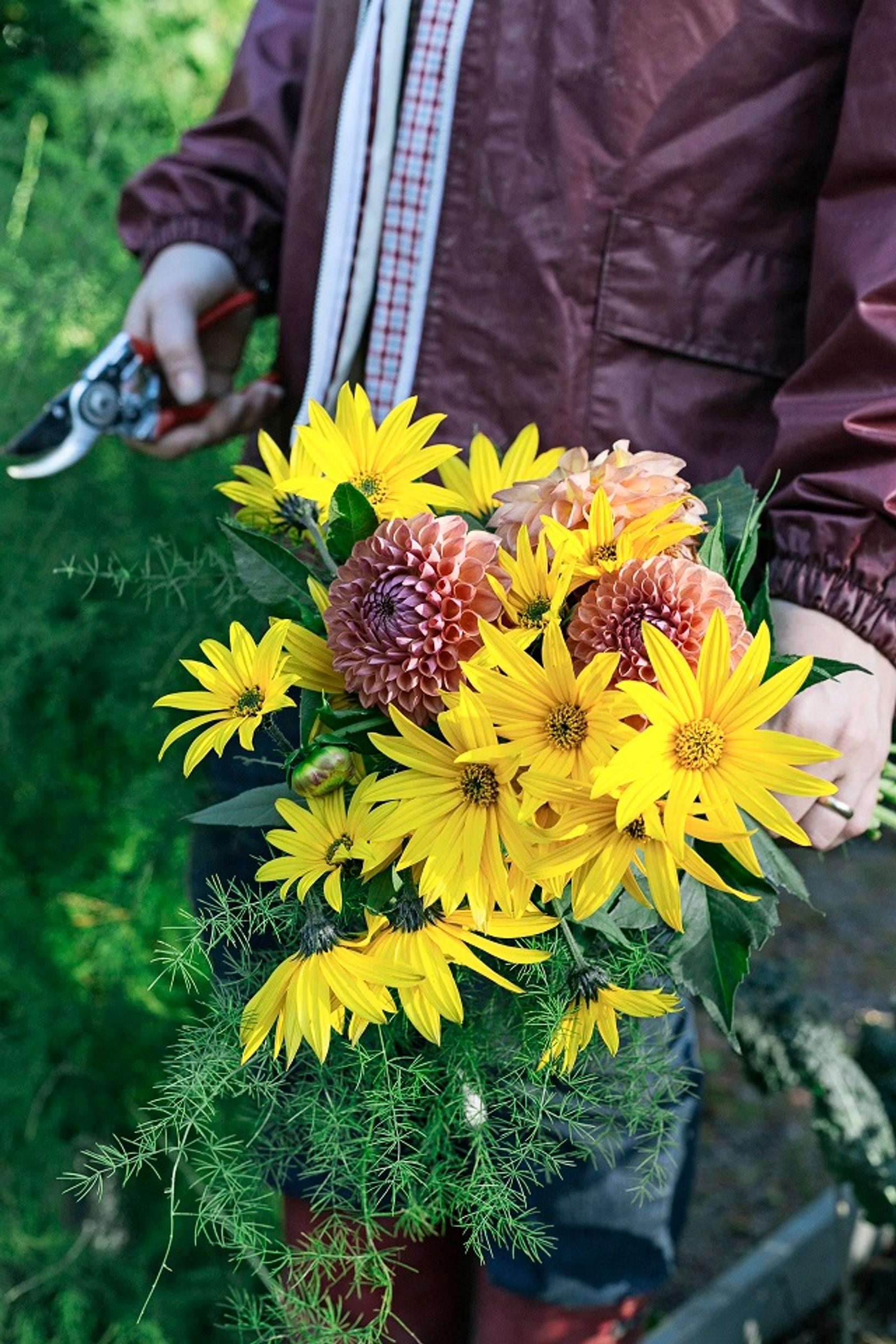 Maa-artisokan kukkia