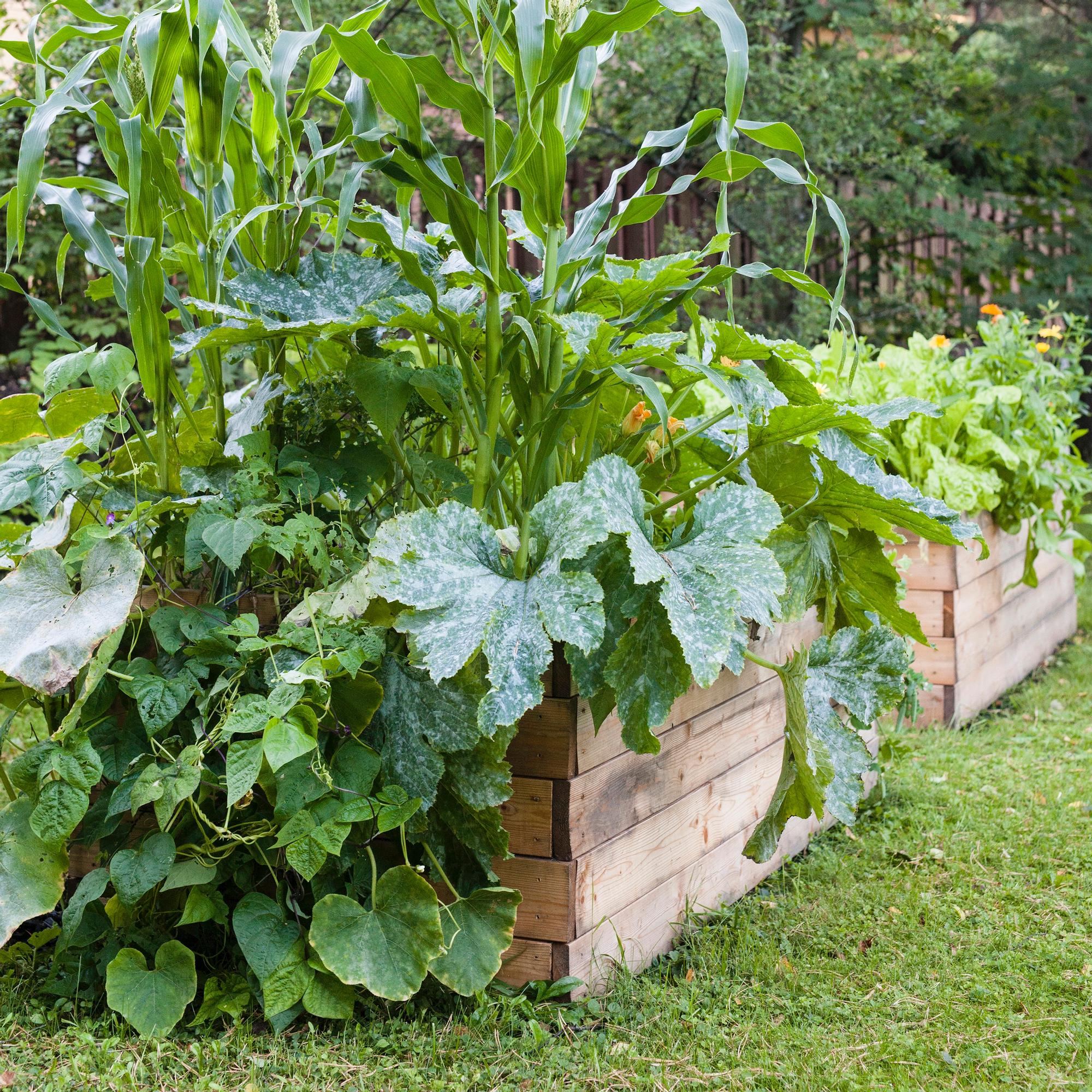 Tee itse viljelylaatikko