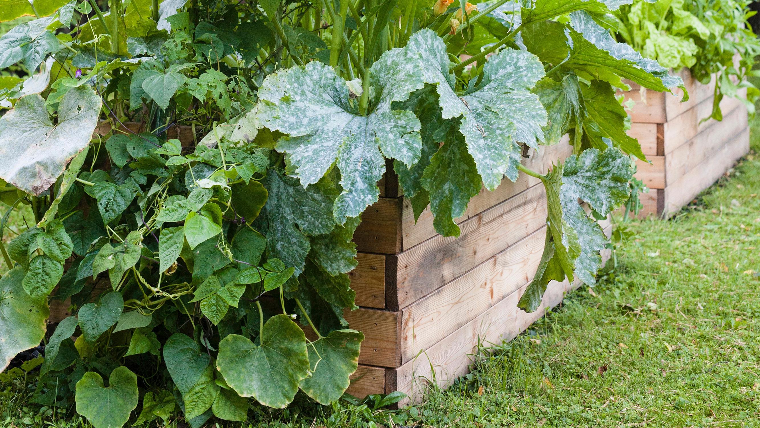 Tee itse viljelylaatikko