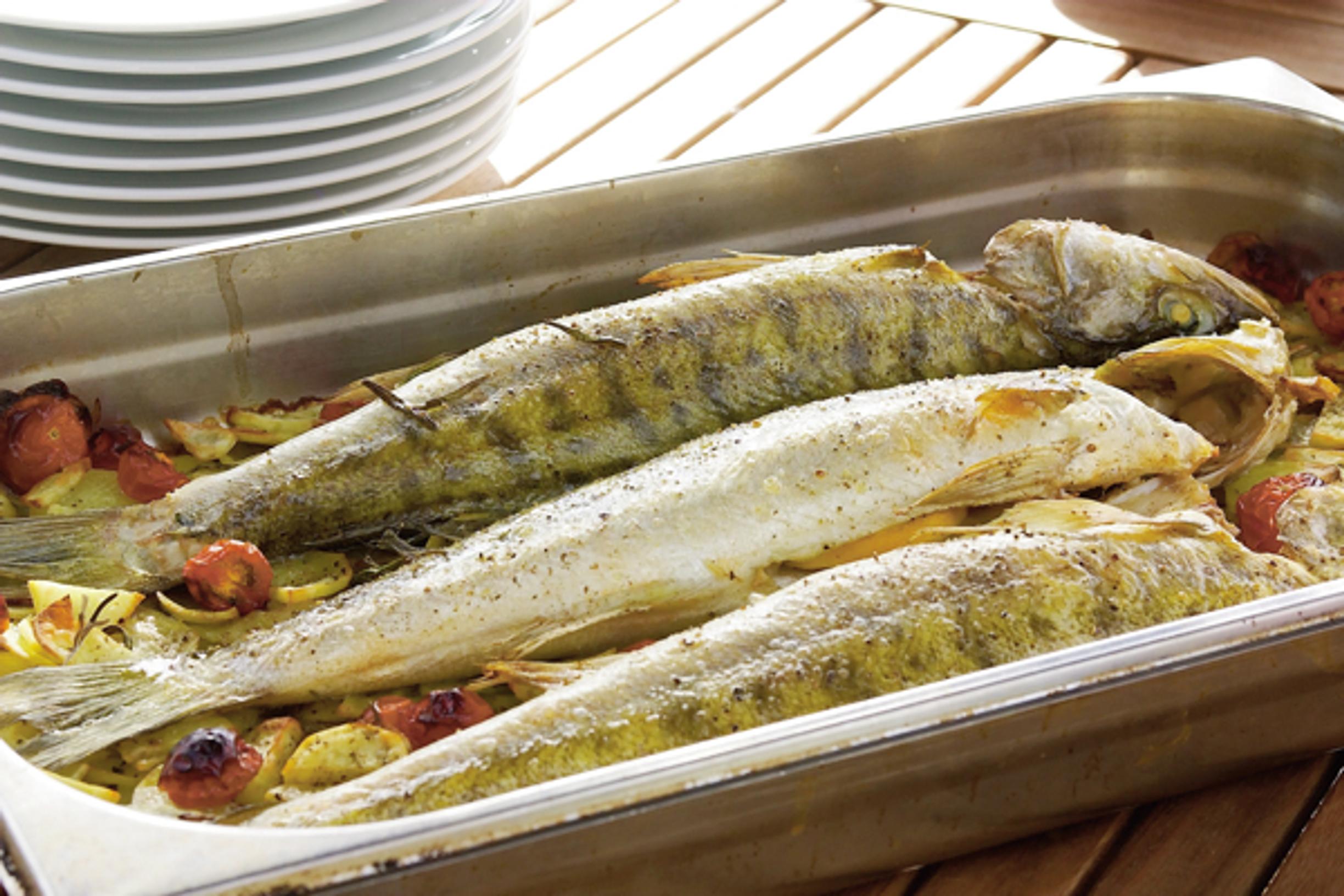 Kuhaa perunapedillä