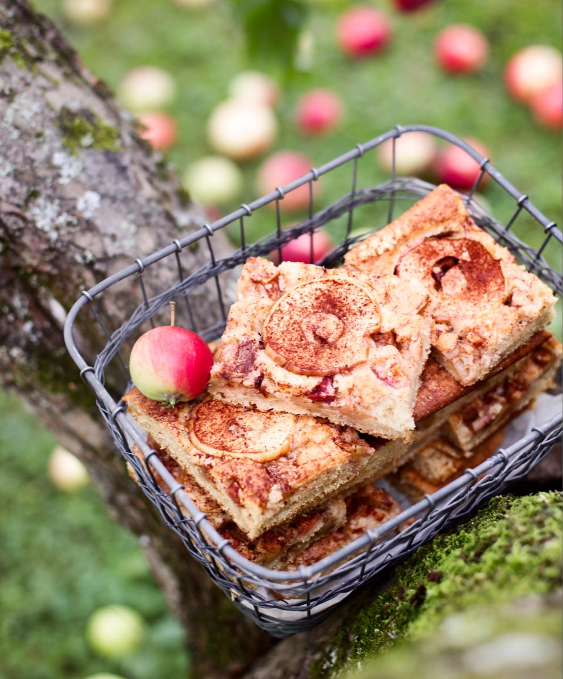 Pellillinen omenapiirakkaa – katso resepti! | Maku