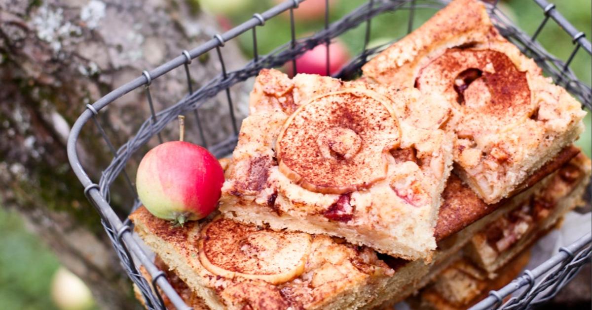 talkoolaisten_omenapiirakka_uxxW9 /upload/thumbnail1/2025/2/24/192946/thumb2