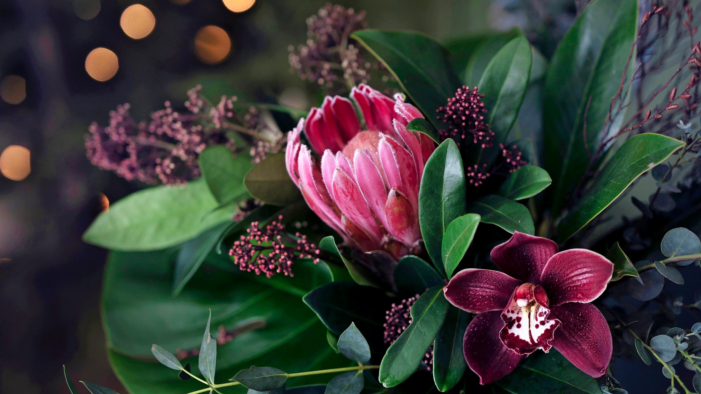 Voisiko joulukukkasi olla protea, skimmia tai inkalilja? Tässä tuoreet tähdet helppoihin kimppuihin